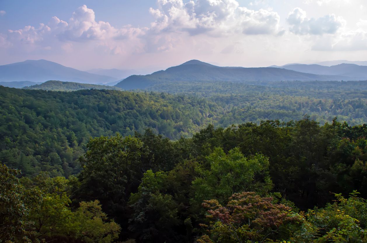 Mount Mitchell