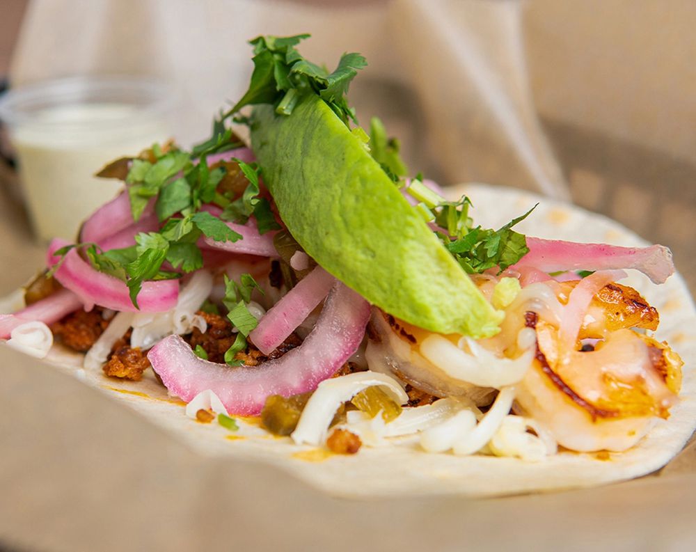 torchy