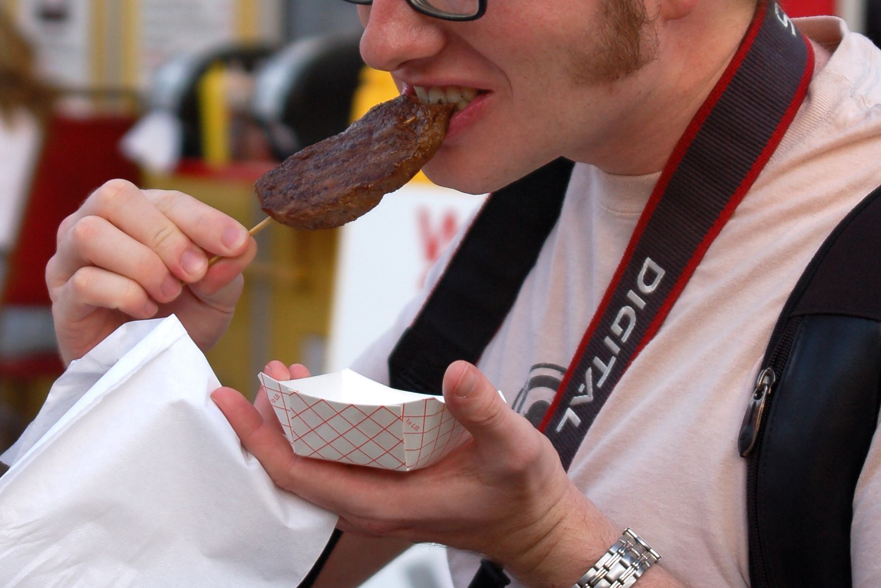 Teriyaki Ostrich on a Stick