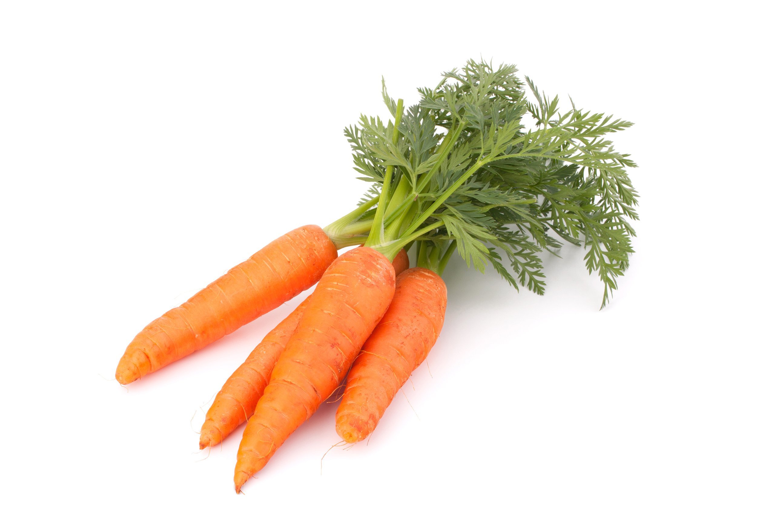 Carrots
