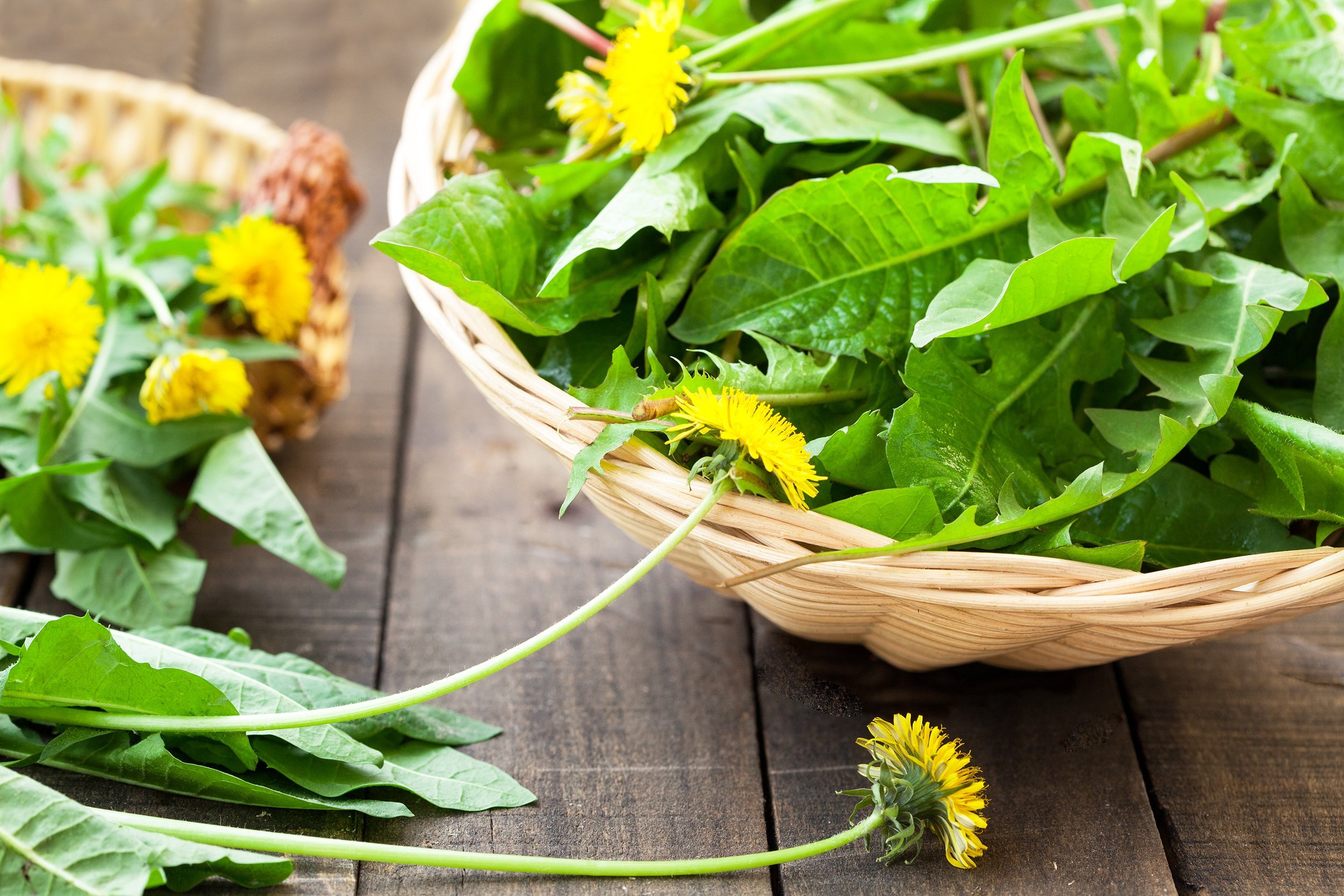 Dandelion greens