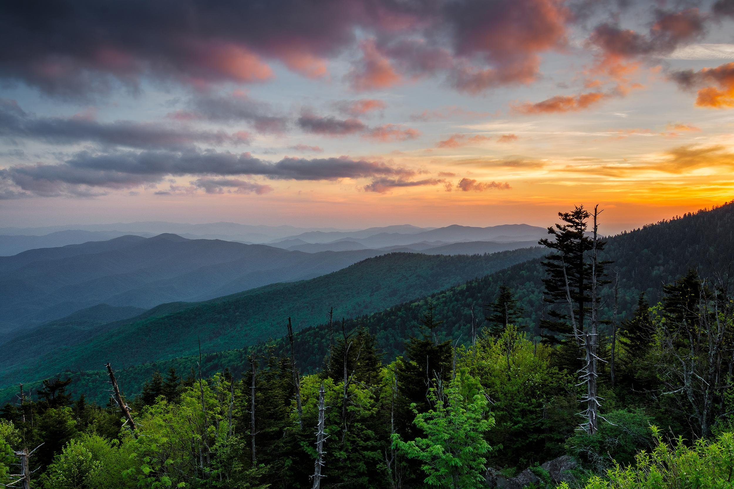 Clingmans Dome