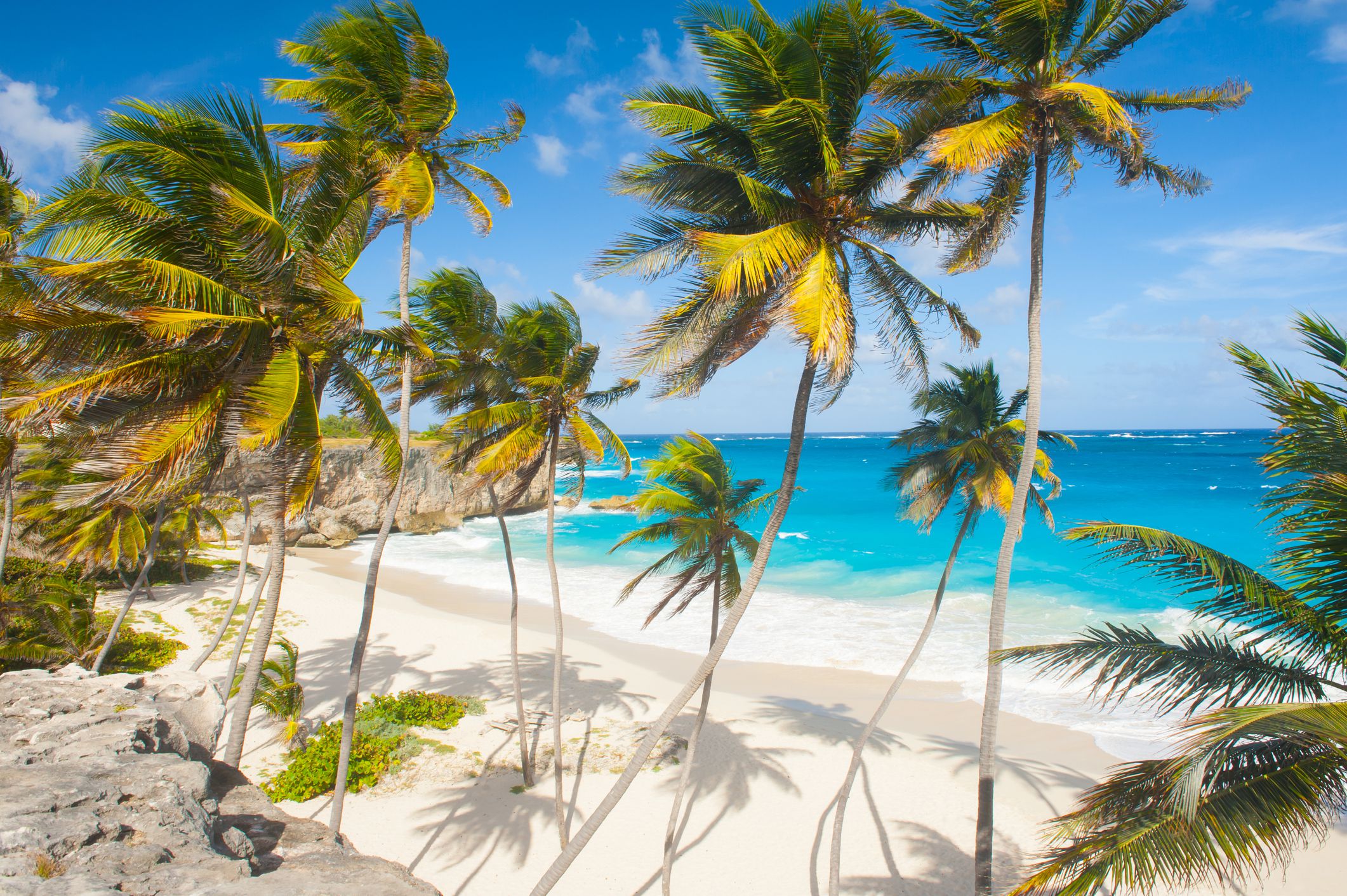 Bottom Bay, Barbados, beach, palm trees, and ocean on a sunny day