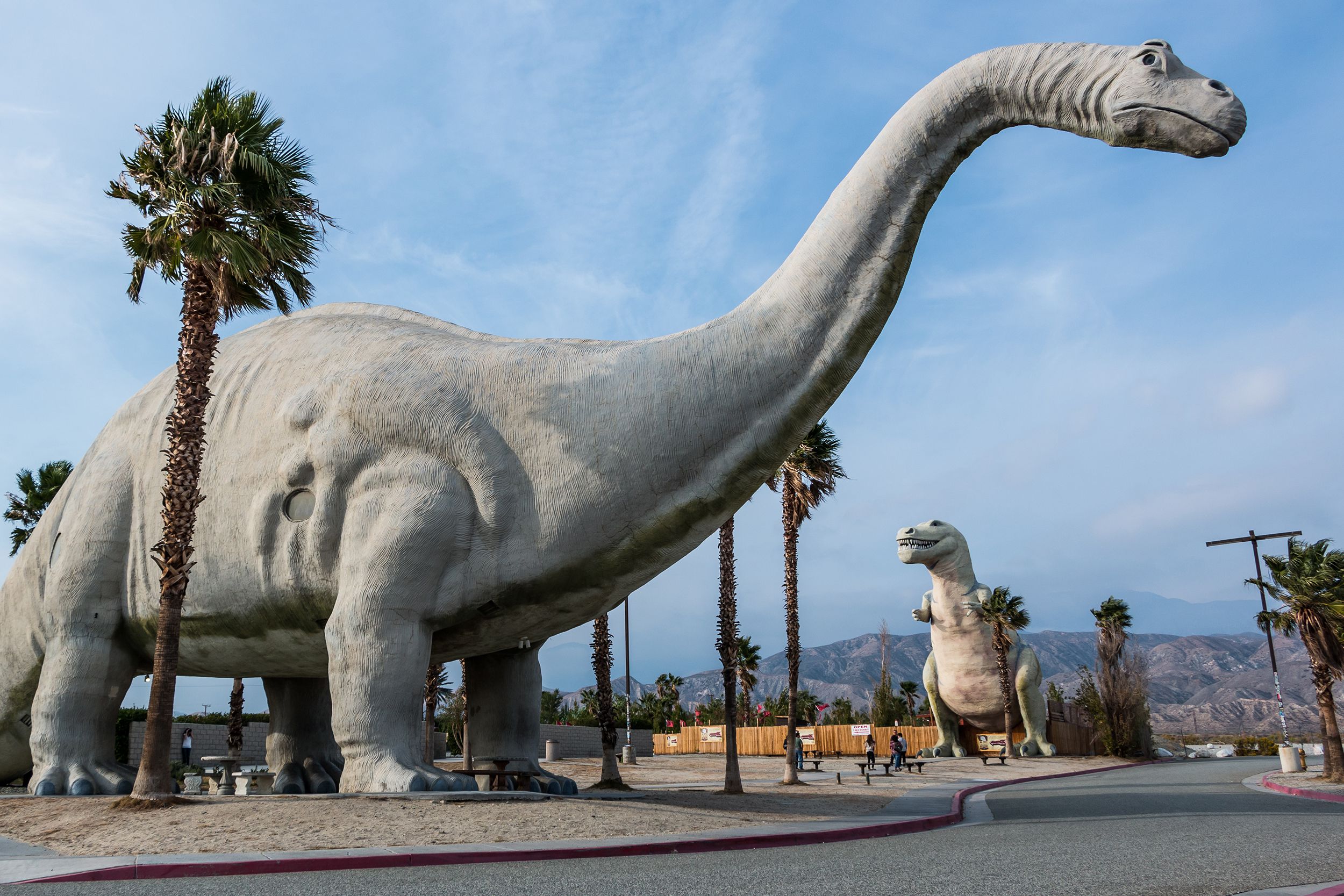 Cabazon Dinosaurs, Cabazon, California, gift shop brontosaurus in the left foreground with t-rex in the distance, surrounded by desert and palm trees, on a sunny day