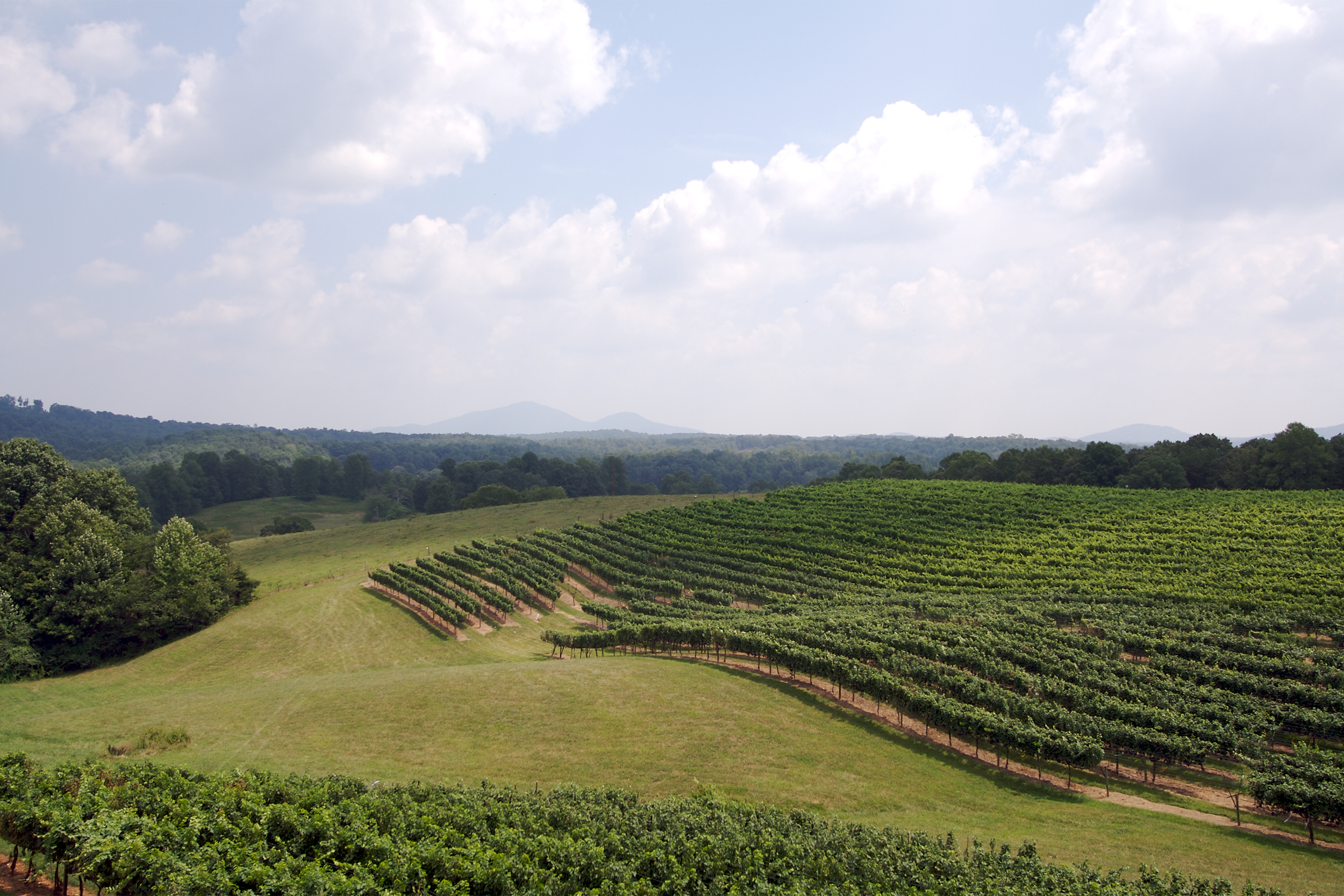Dahlonega, Georgia