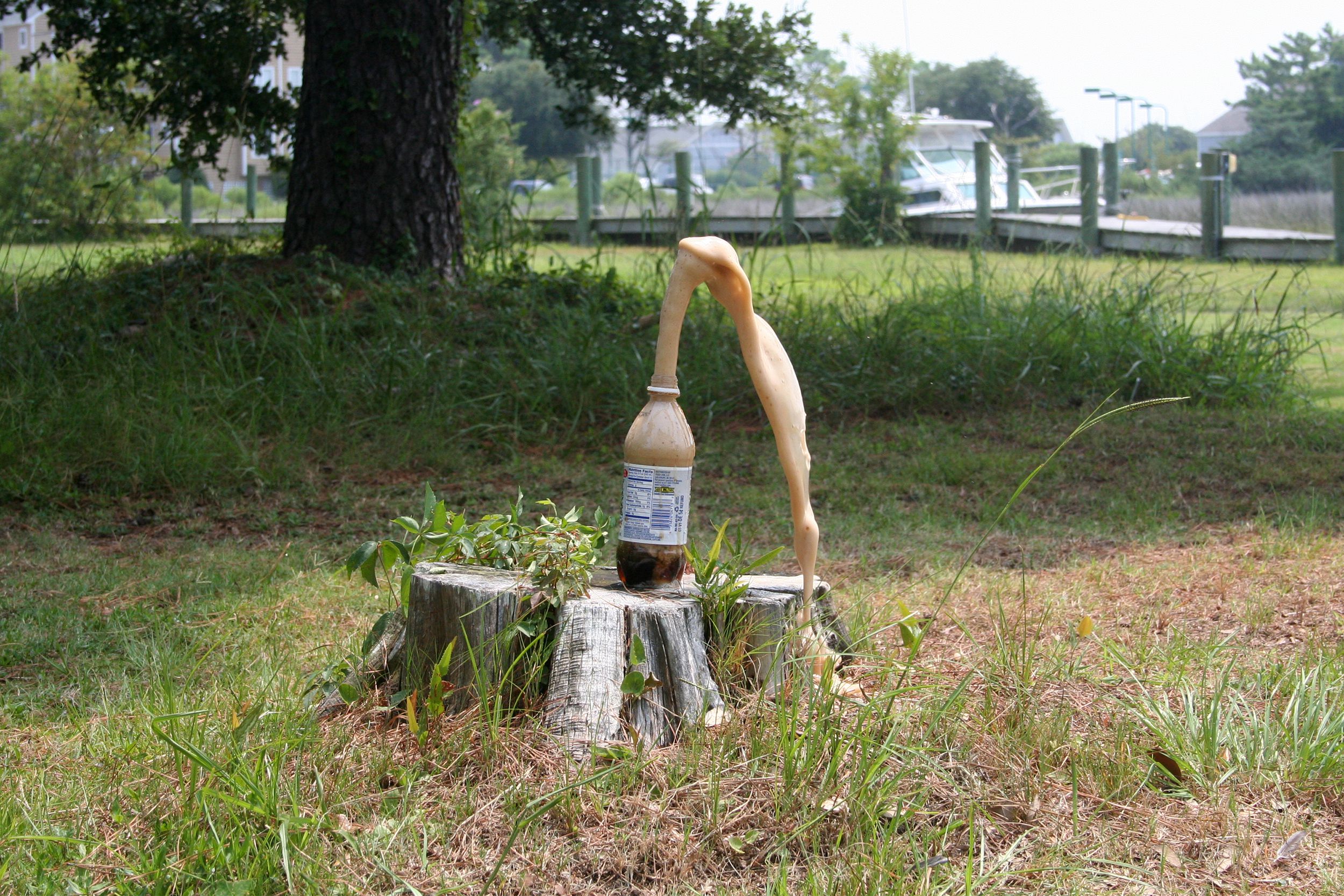 Diet Coke exploding