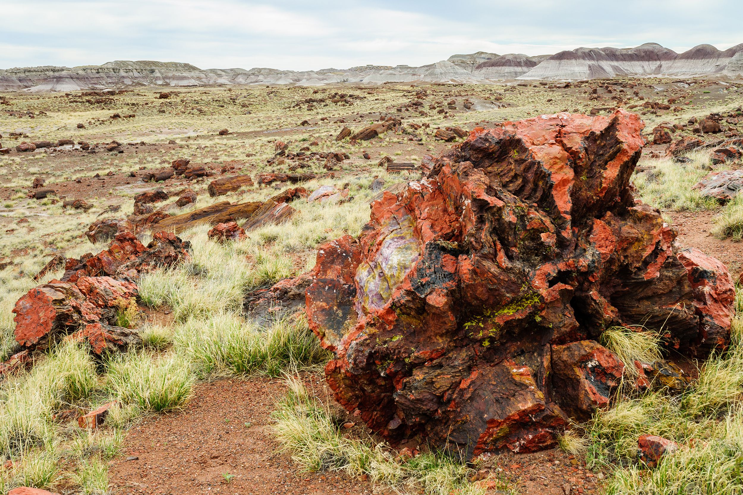 Expansive landscape of Petrified Forest National Park, Arizona, a large piece of petrified in the right foreground with many pieces scattered throughout, mountains in the distance with a clouded light blue sky