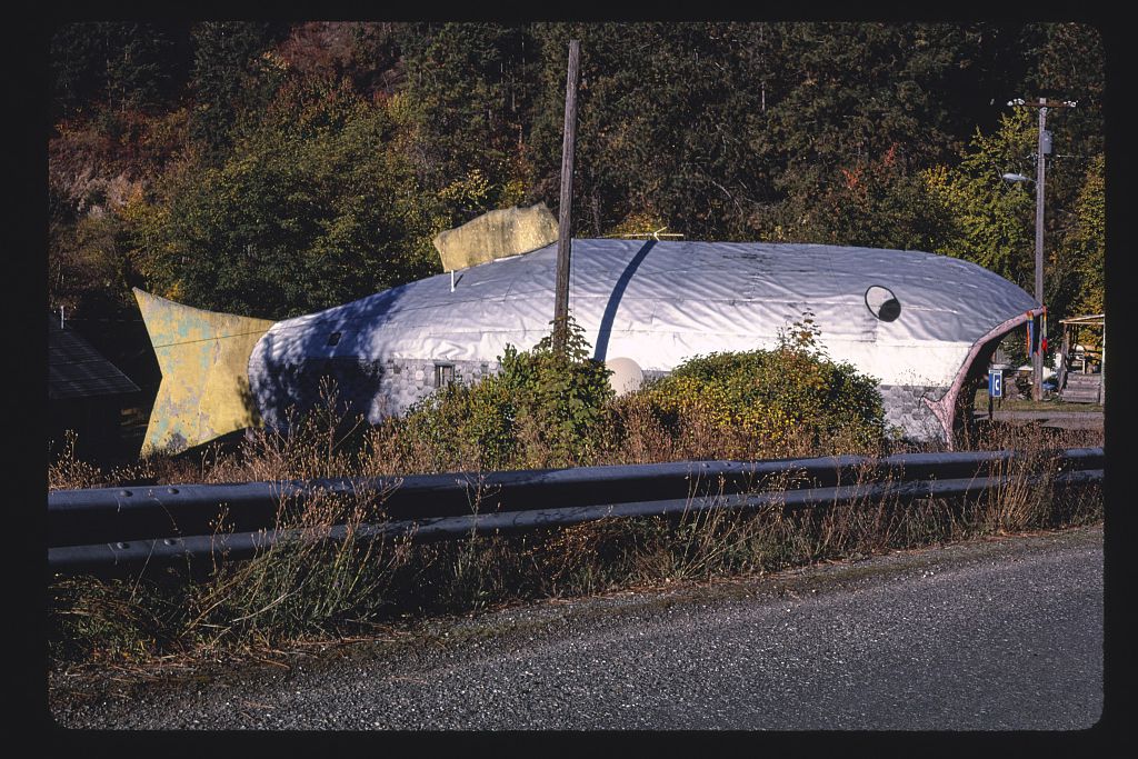 Fish Inn, 1987