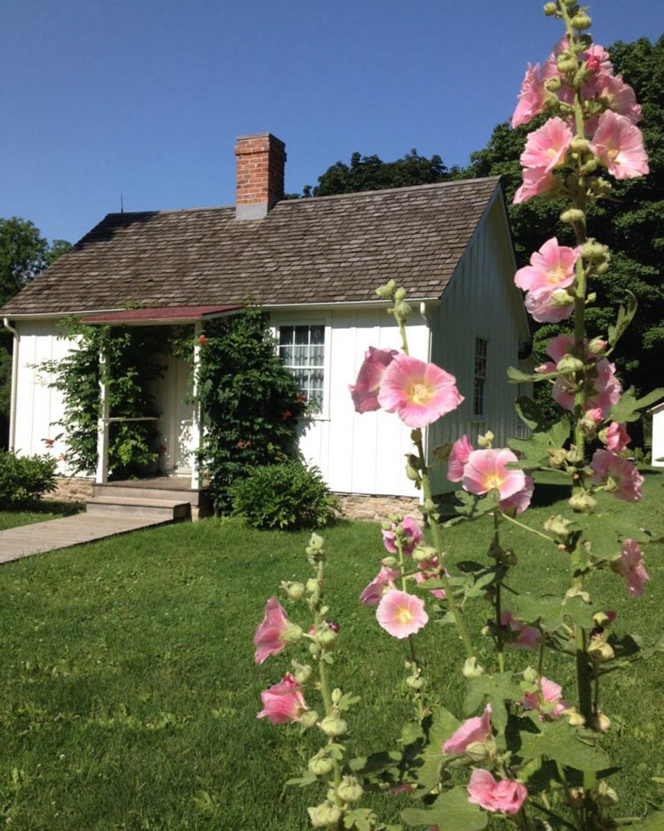 Herbert Hoover National Historic Site, West Branch, Iowa, white front exterior of the house, pink flowers in the right foreground, surrounded by grass, on a sunny day during summer