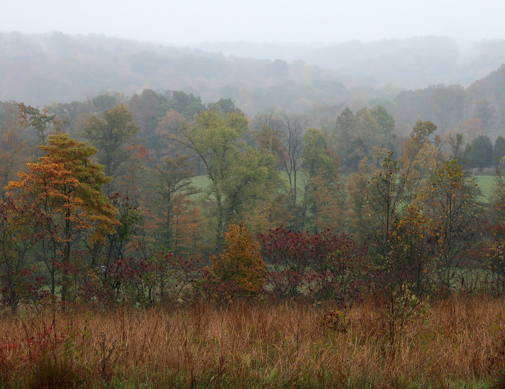 Hoosier National Forest, Indiana