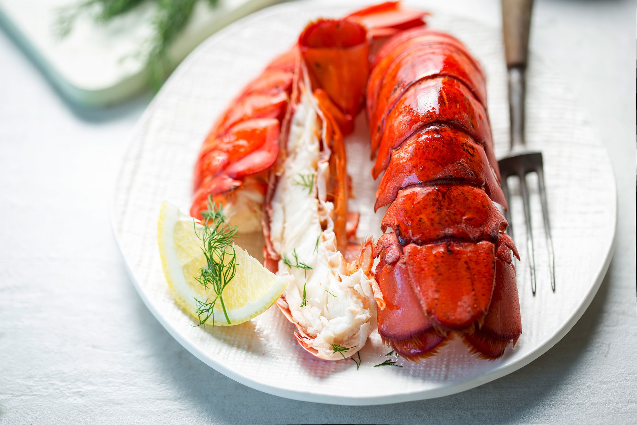 Lobster