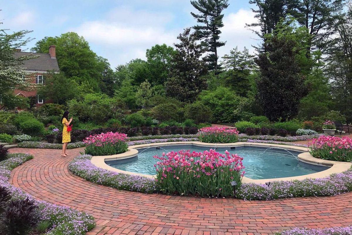 Fountain surrounded by flowers, Mount Cuba Center, Hockessin, Delaware, circled by a brick walkway, a woman wearing a yellow dress is taking a picture of it, on a sunny day