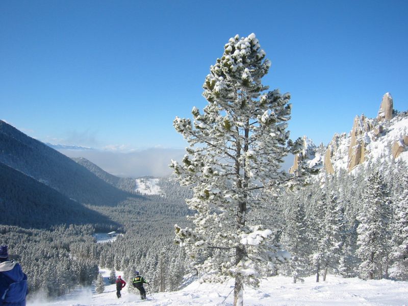 w:Red Lodge Mountain Resort, looking at the Palisades area on the north end of the ski area.