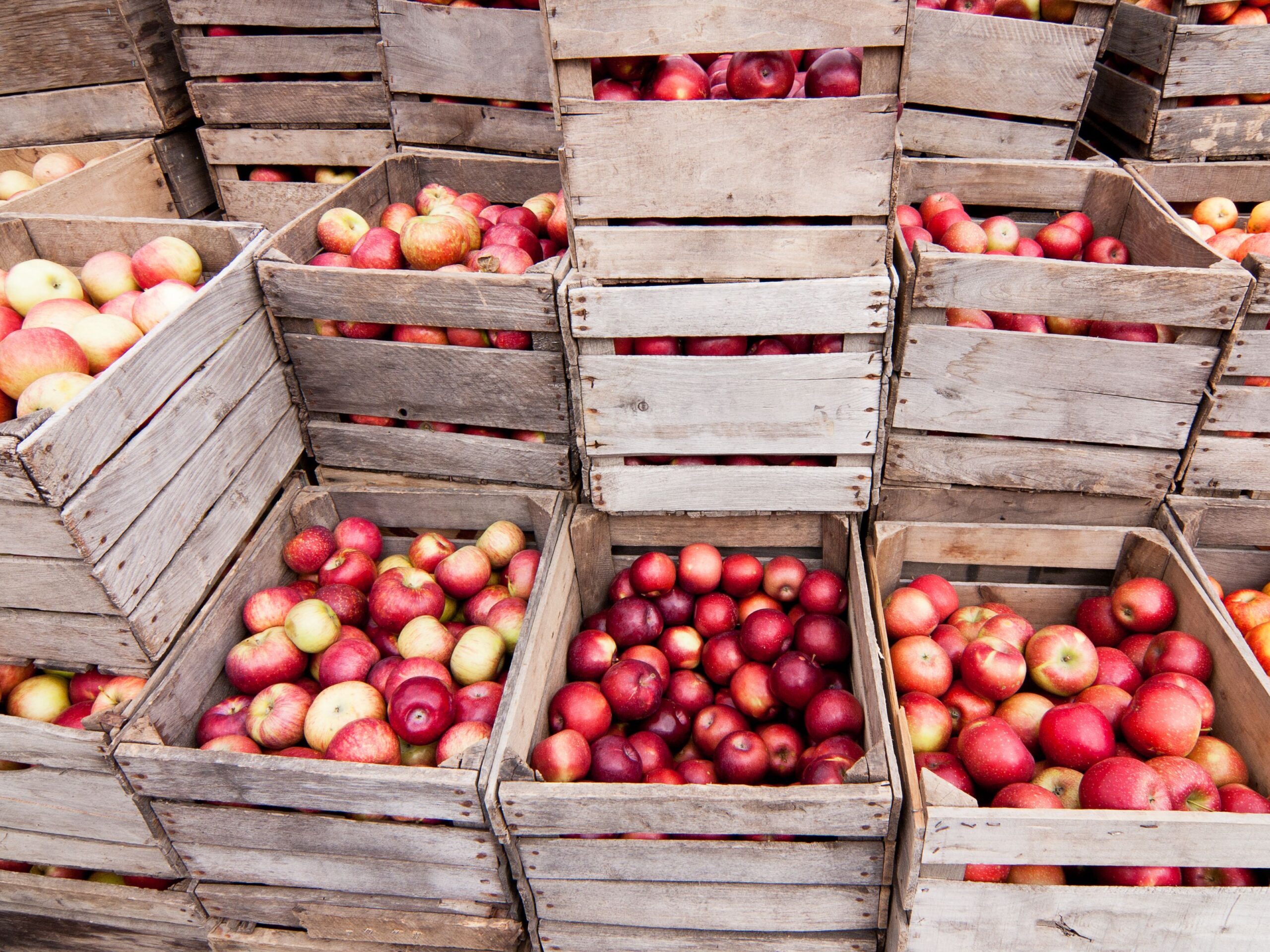 Crates of apples at a farmers market