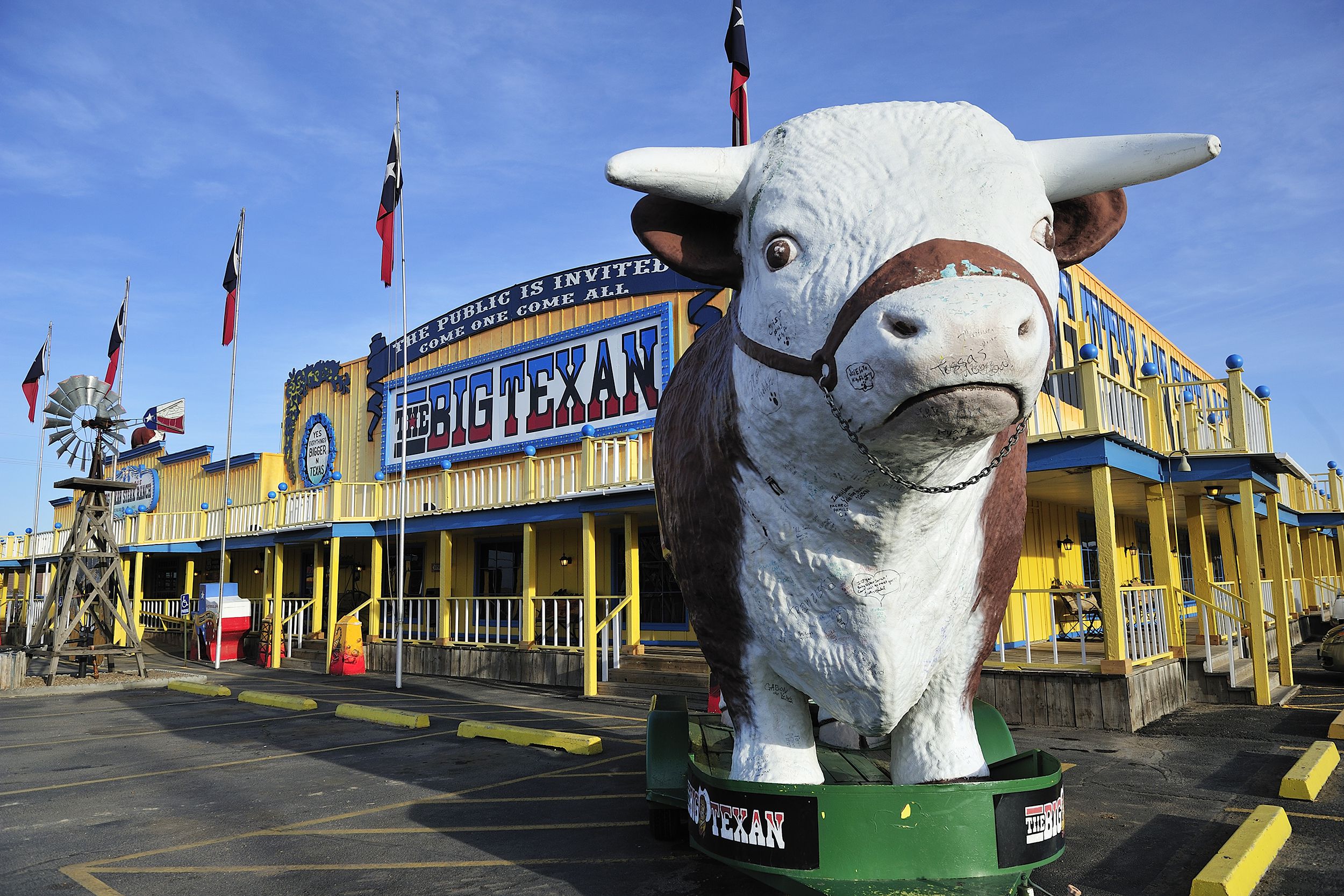 The Big Texan Steak Ranch, Amarillo, Texas, large cow statue in the foreground with parking spots in front of the yellow building, lined with Texas state flags, on a sunny day