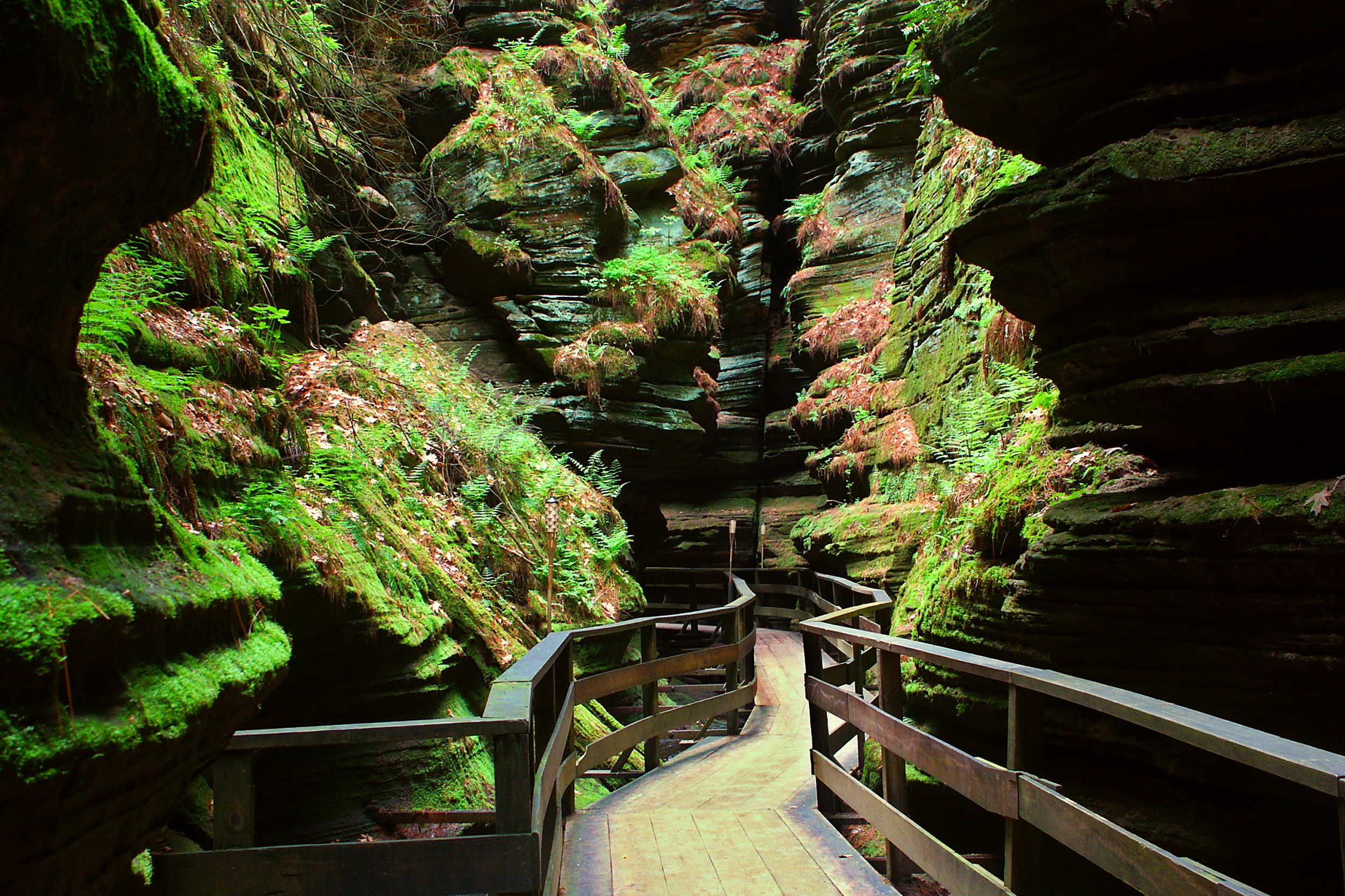 Witches Gulch, Wisconsin Dells, Wisconsin, green moss and ferns growing along the canyon with a wooden walkway, sunlight shining through from above
