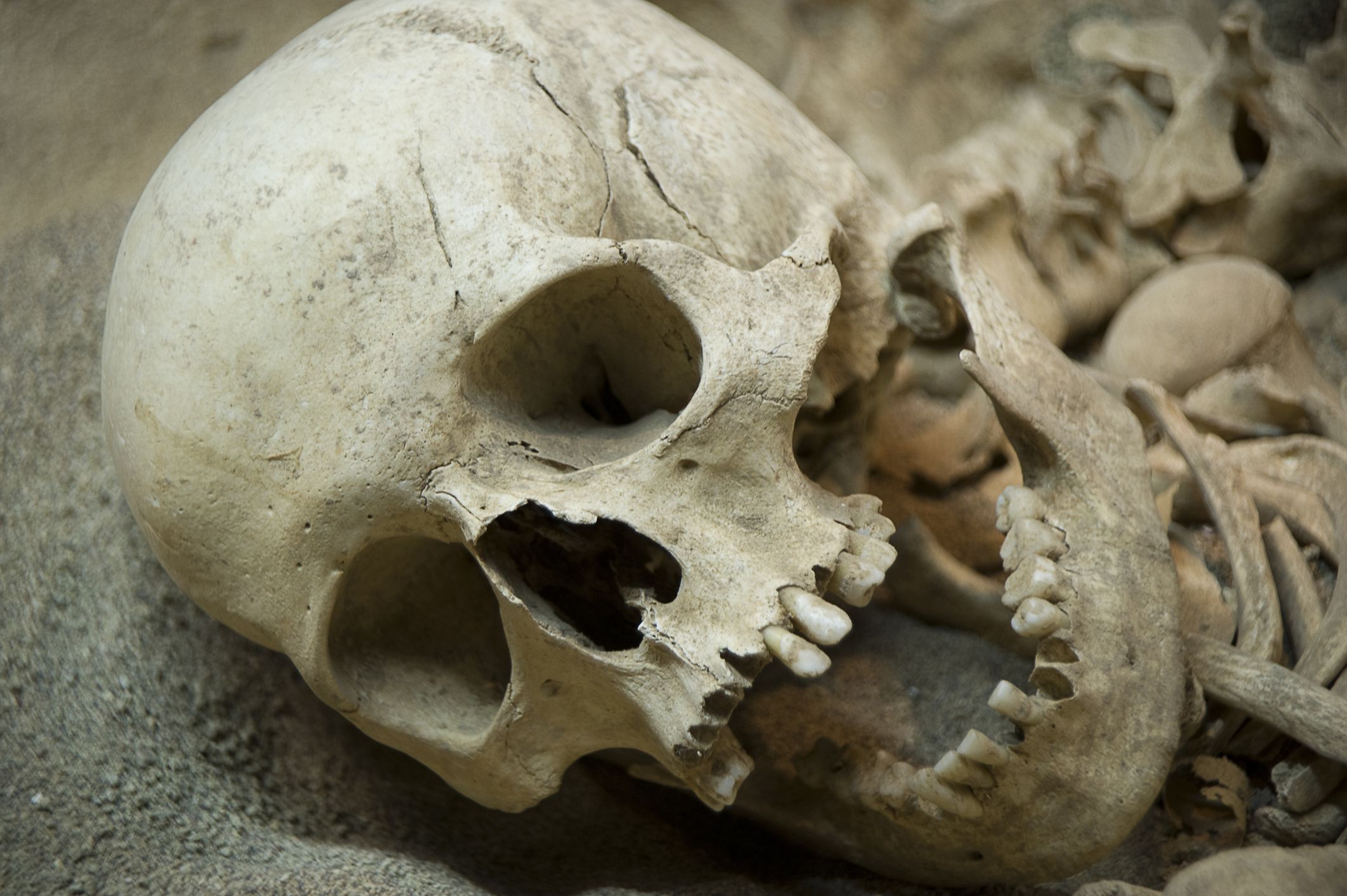 A Tomb with skeleton remains of Neanderthal human beings who had lived in the Mesolithic Period. Window display at the Natural History And Prehistory Hall of the Archaeological museum in Antalya, Turkey.