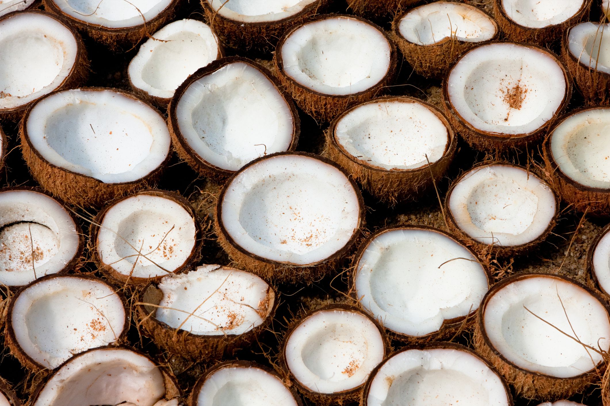 Split coconuts drying in the sun and to be used to make coconut oil, Kerala, India.