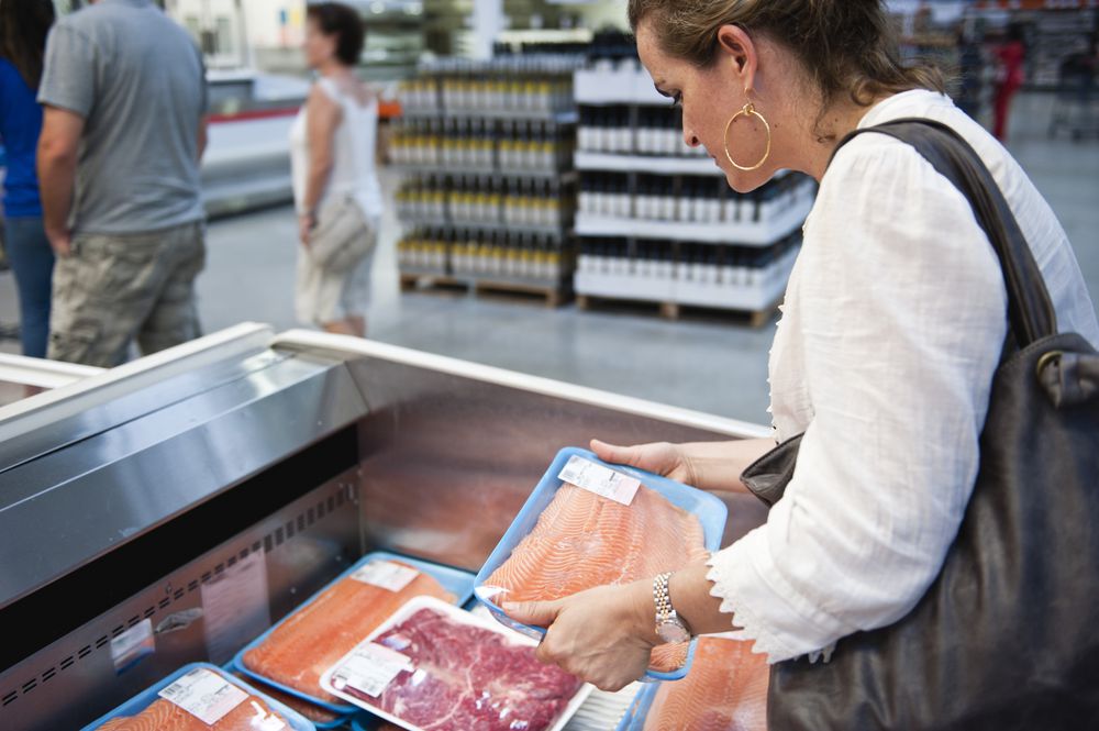Buying Fresh salmon
