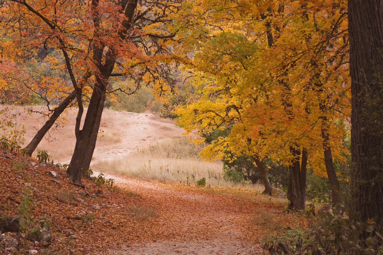 texas hill country fall