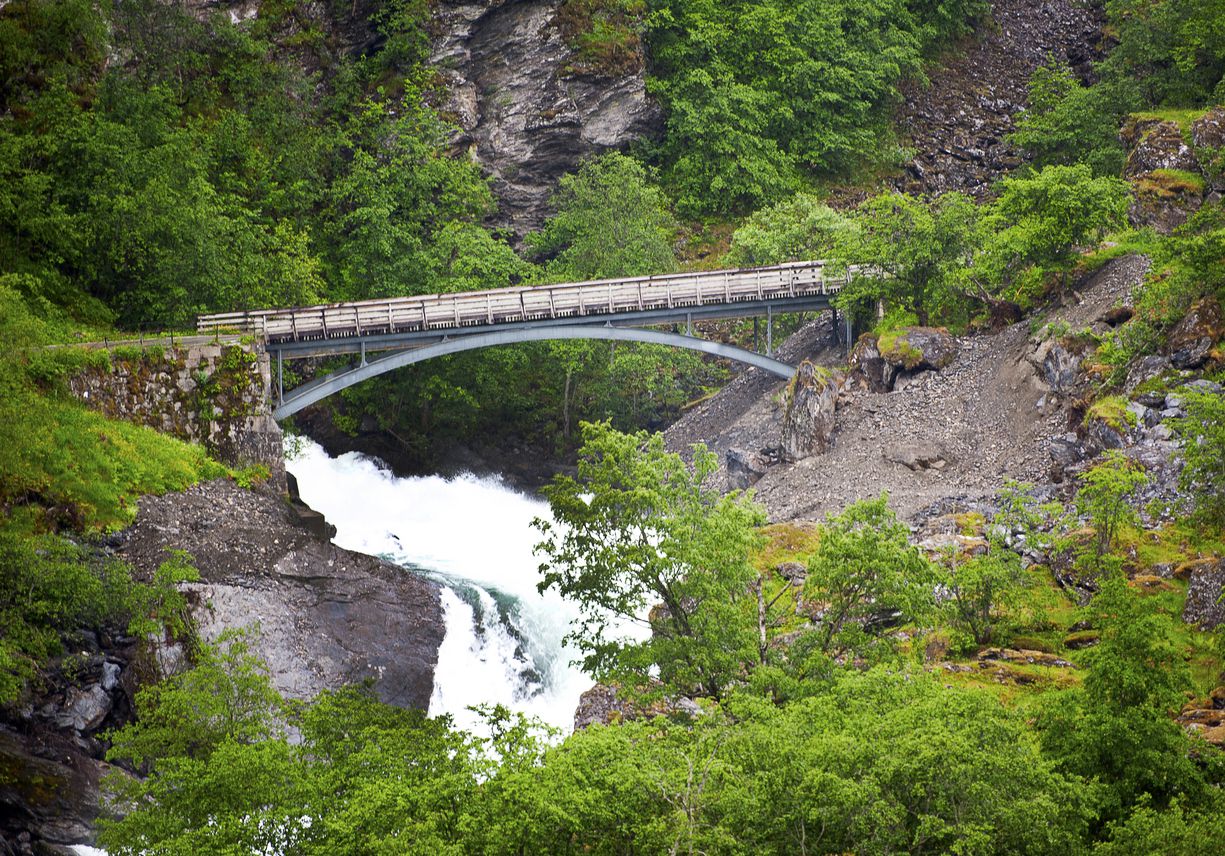 Flåm Line