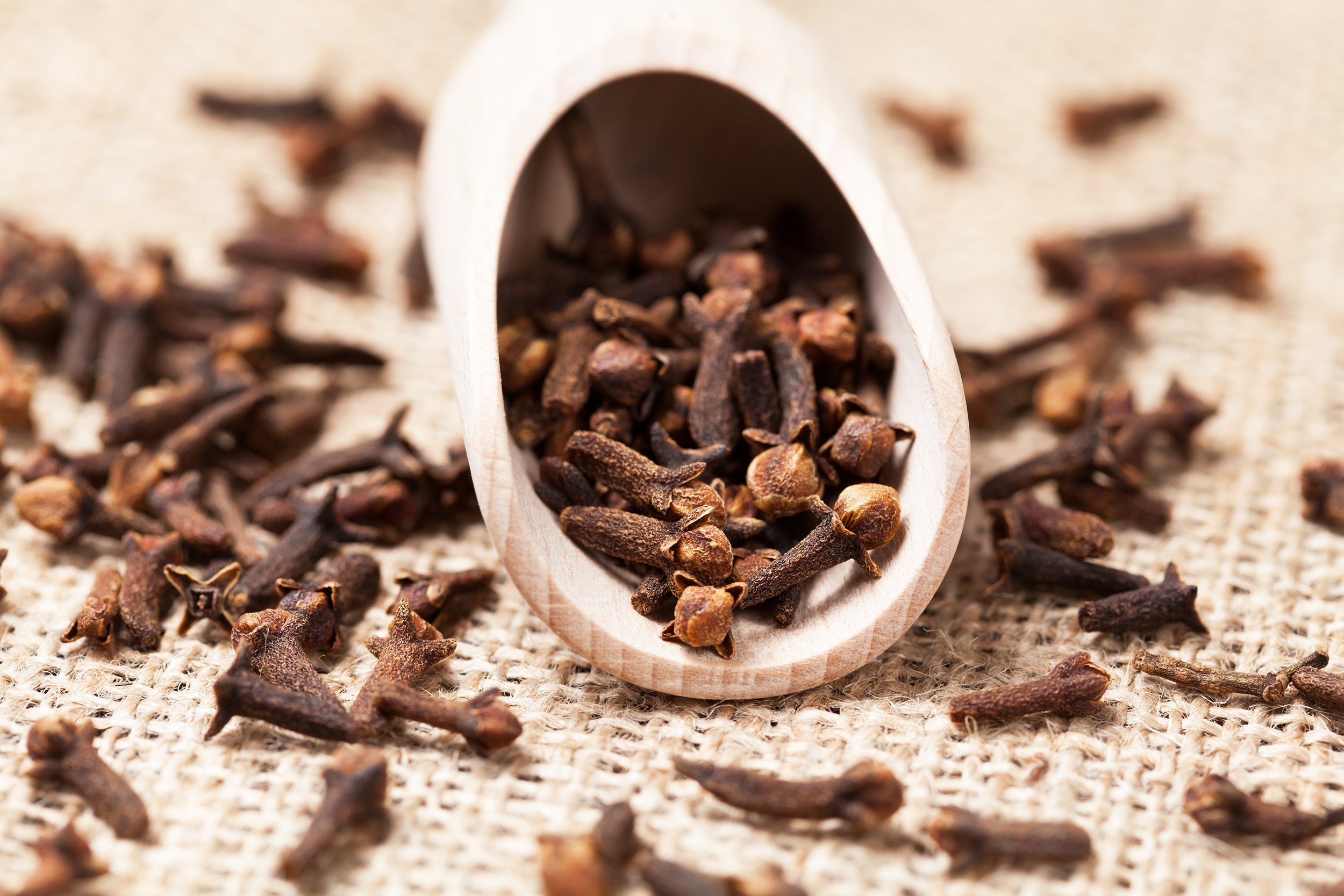 scattered cloves aromatic spice in wooden shovel on vintage textile background