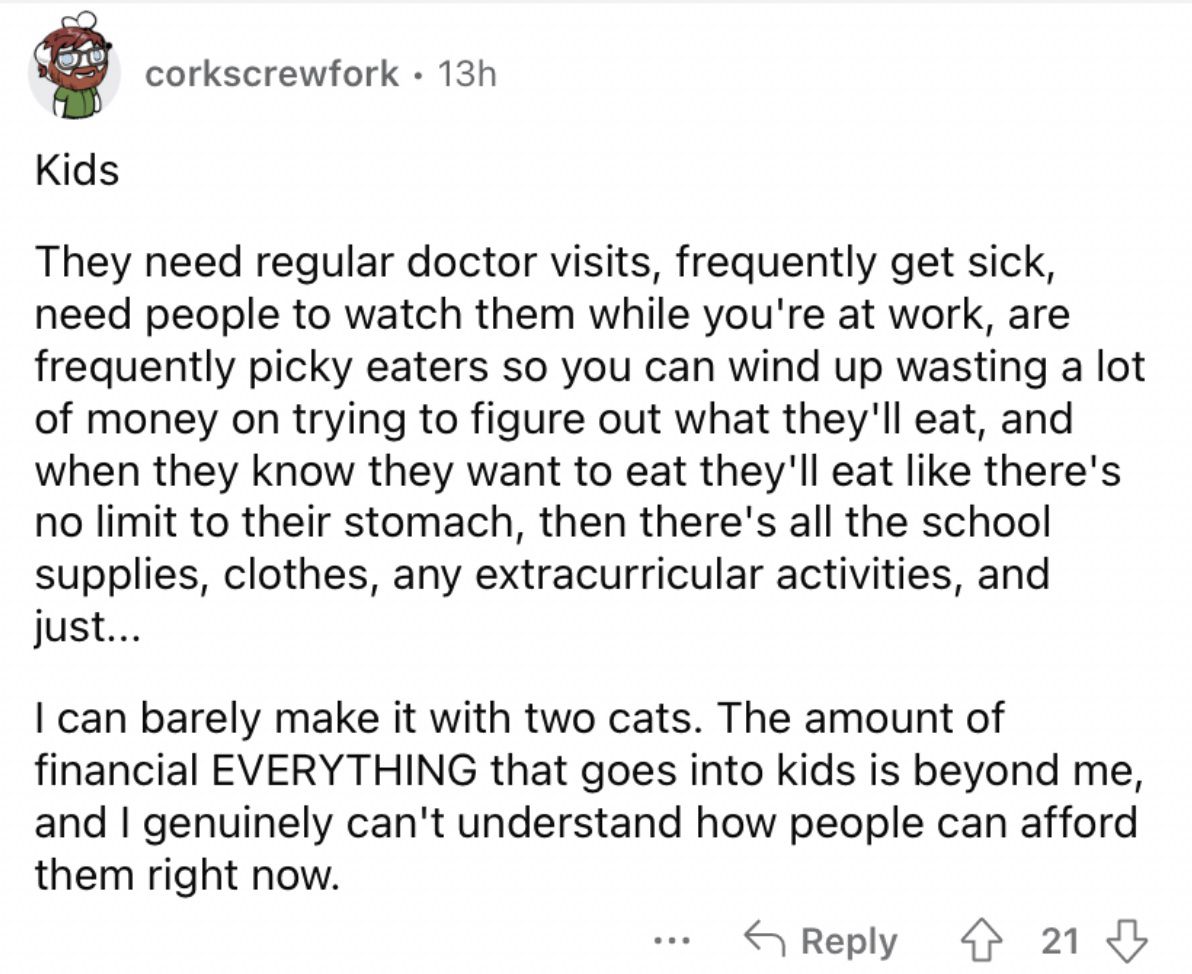 Reddit screenshot about how expensive kids can end up being.
