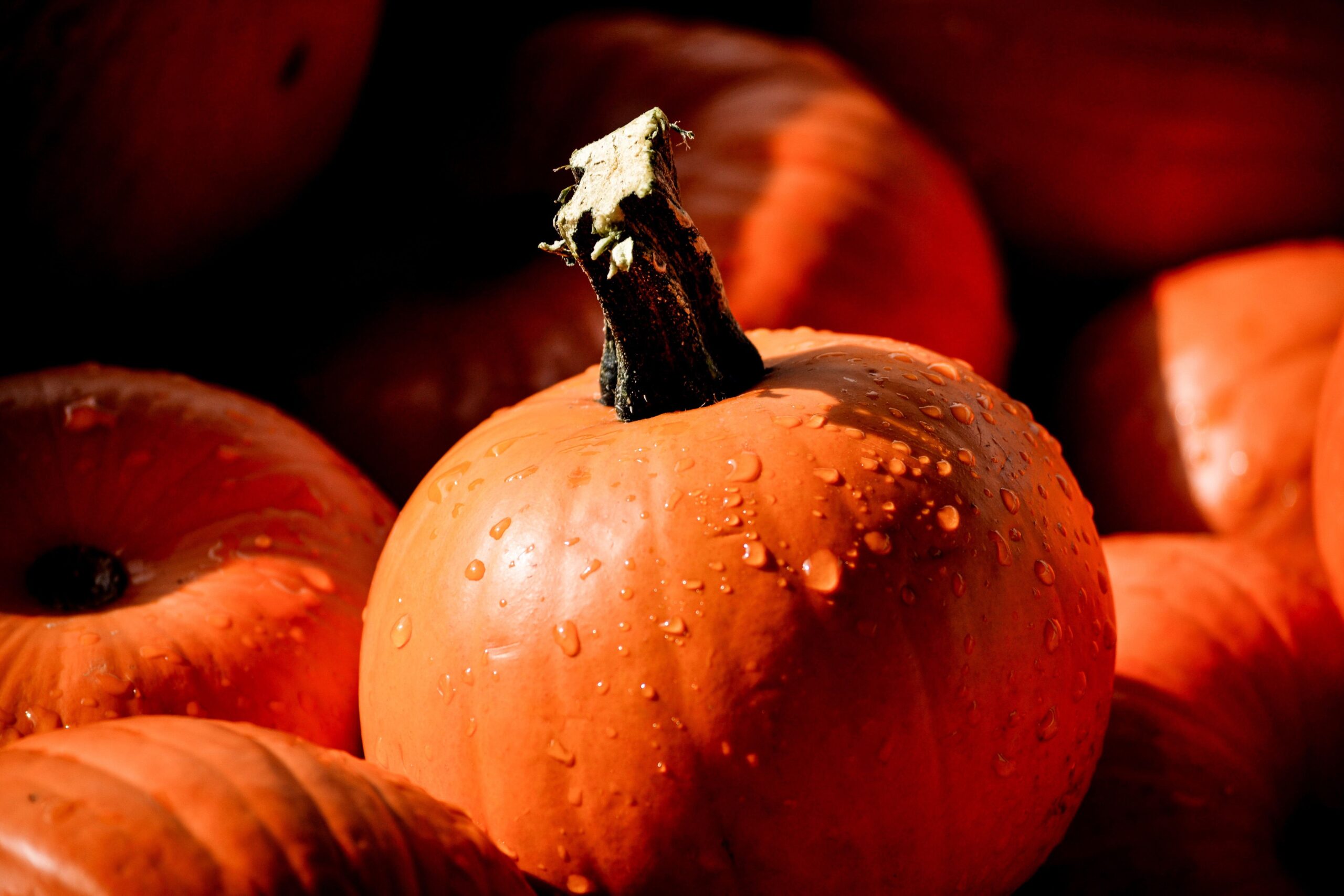 Cooking pumpkins with water droplets.