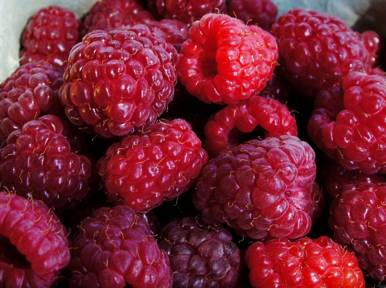 Pile of fresh ripe raspberries.