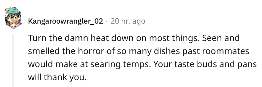 Screenshot of Reddit comment