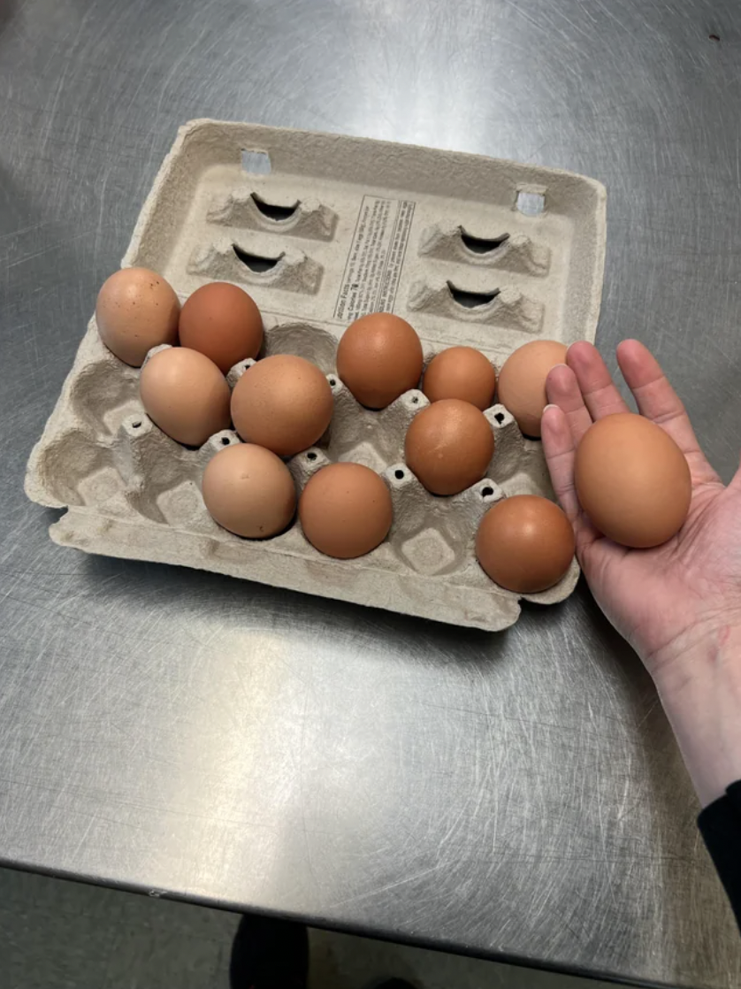 Reddit screenshot of someone saving eggs.
