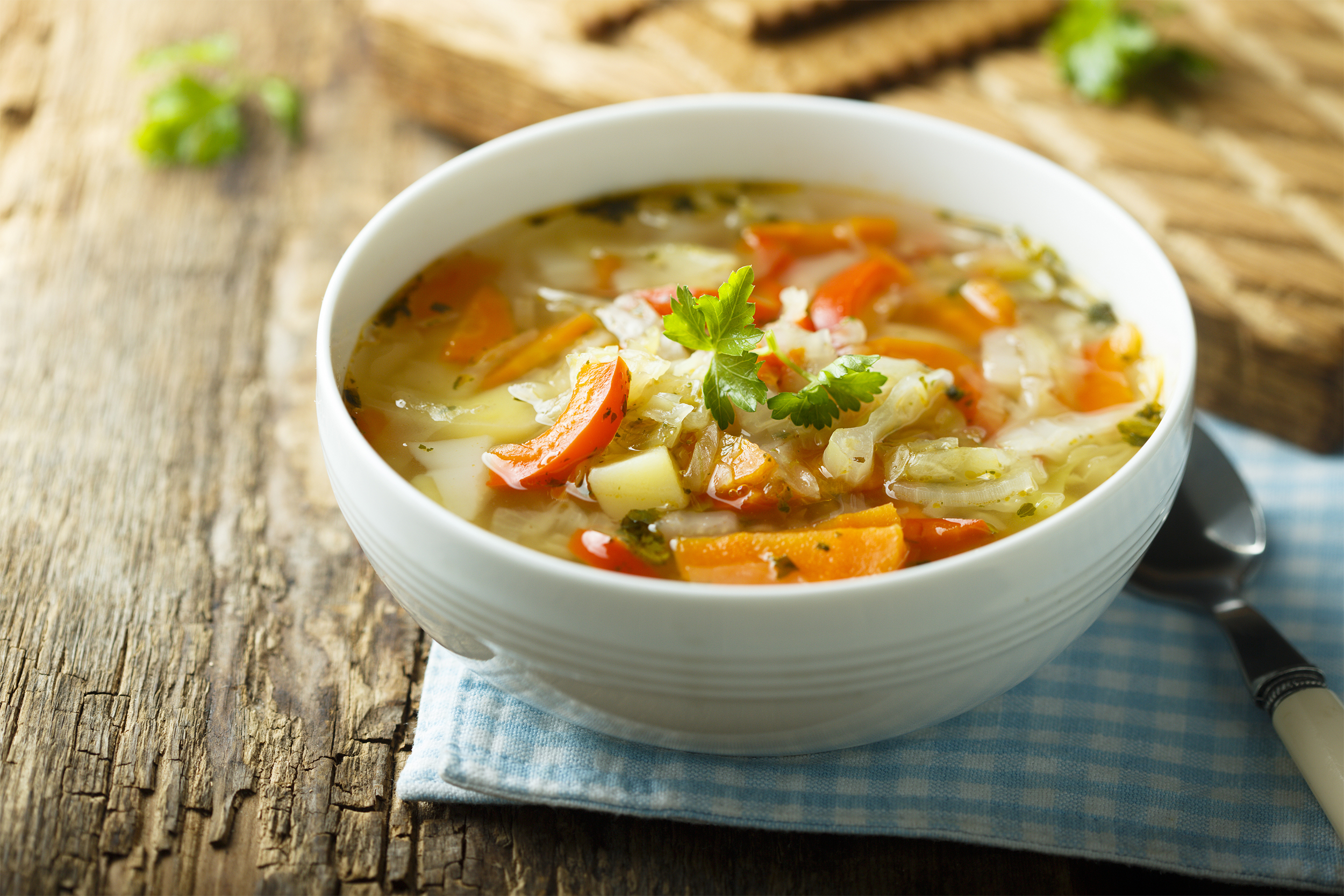 Vegetable Soup