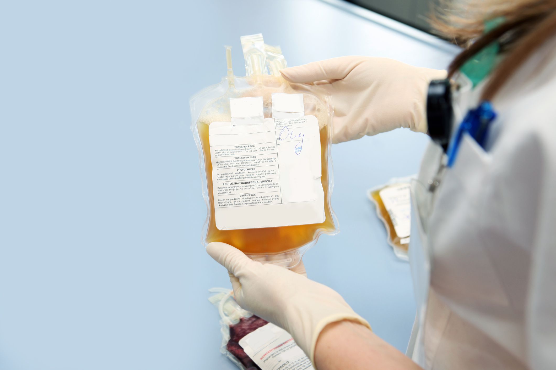 Doctor in a blood bank is holding blood bag with red blood cells