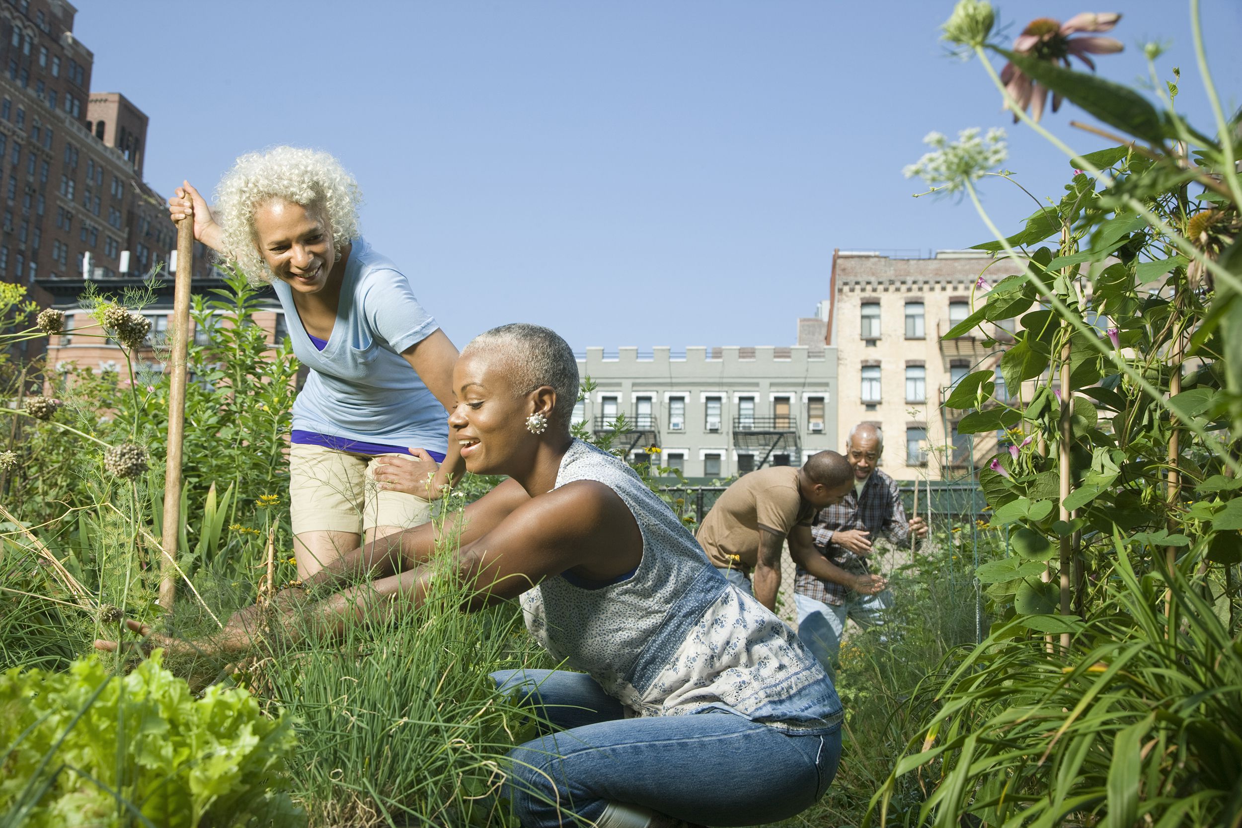 group of seniors gardening in community garden in the city