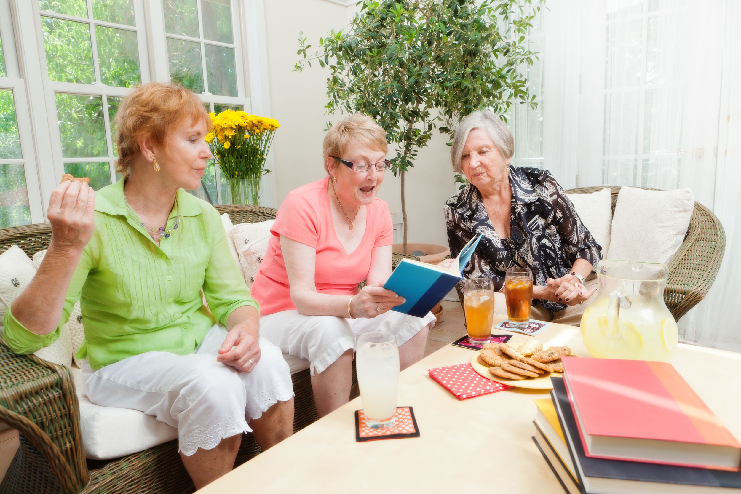 senior women group social gathering book club