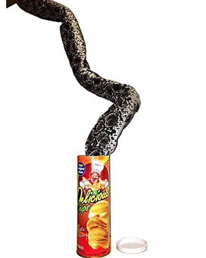 Snake in a Can