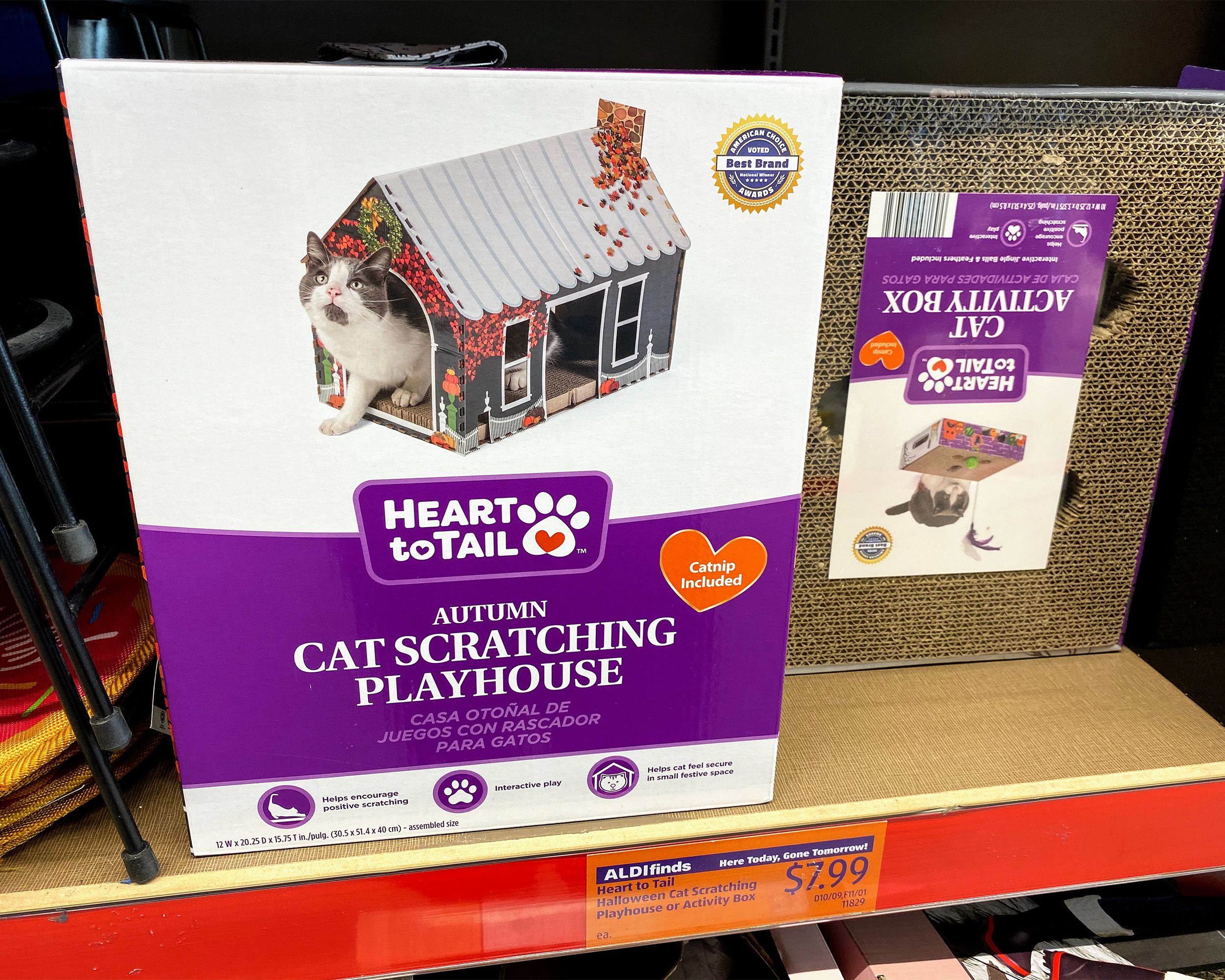 Cat Scratching House