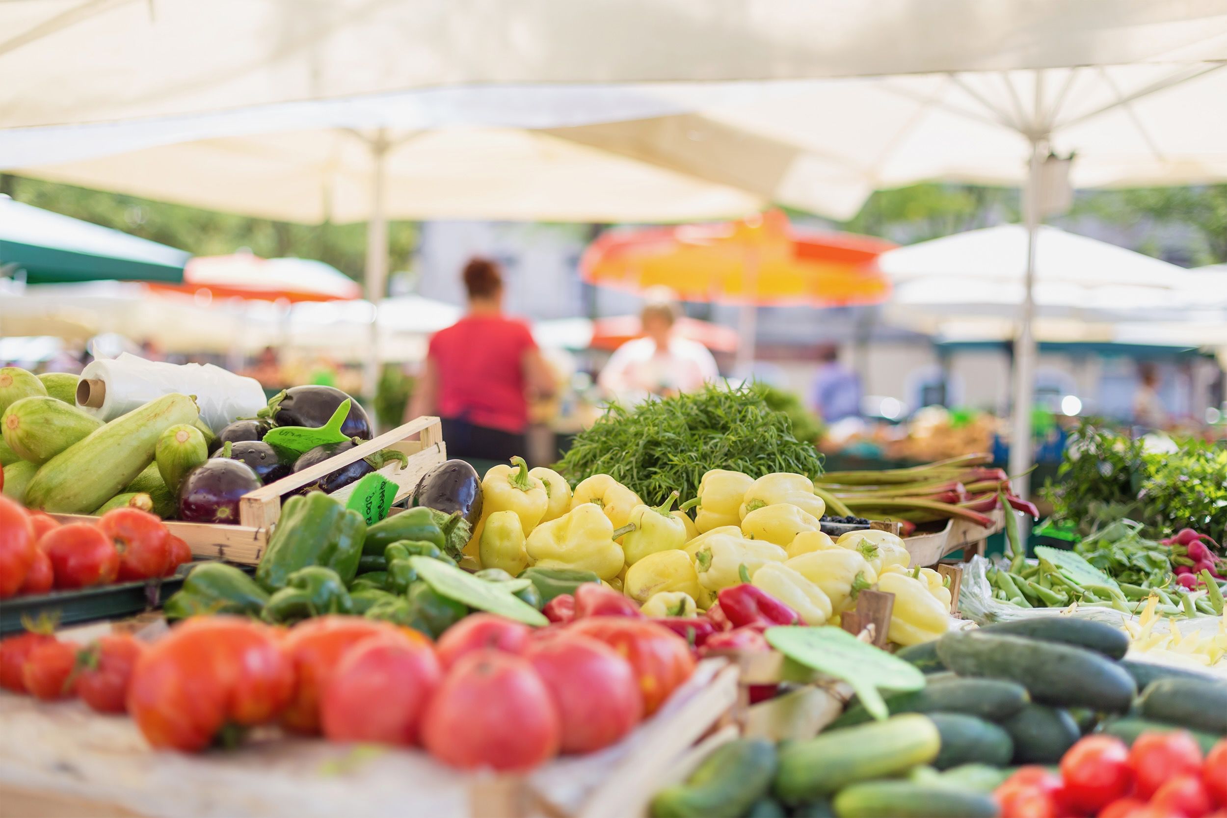 Farmers market, close up of tomatoes, cucumbers, yellow peppers, eggplant and herbs
