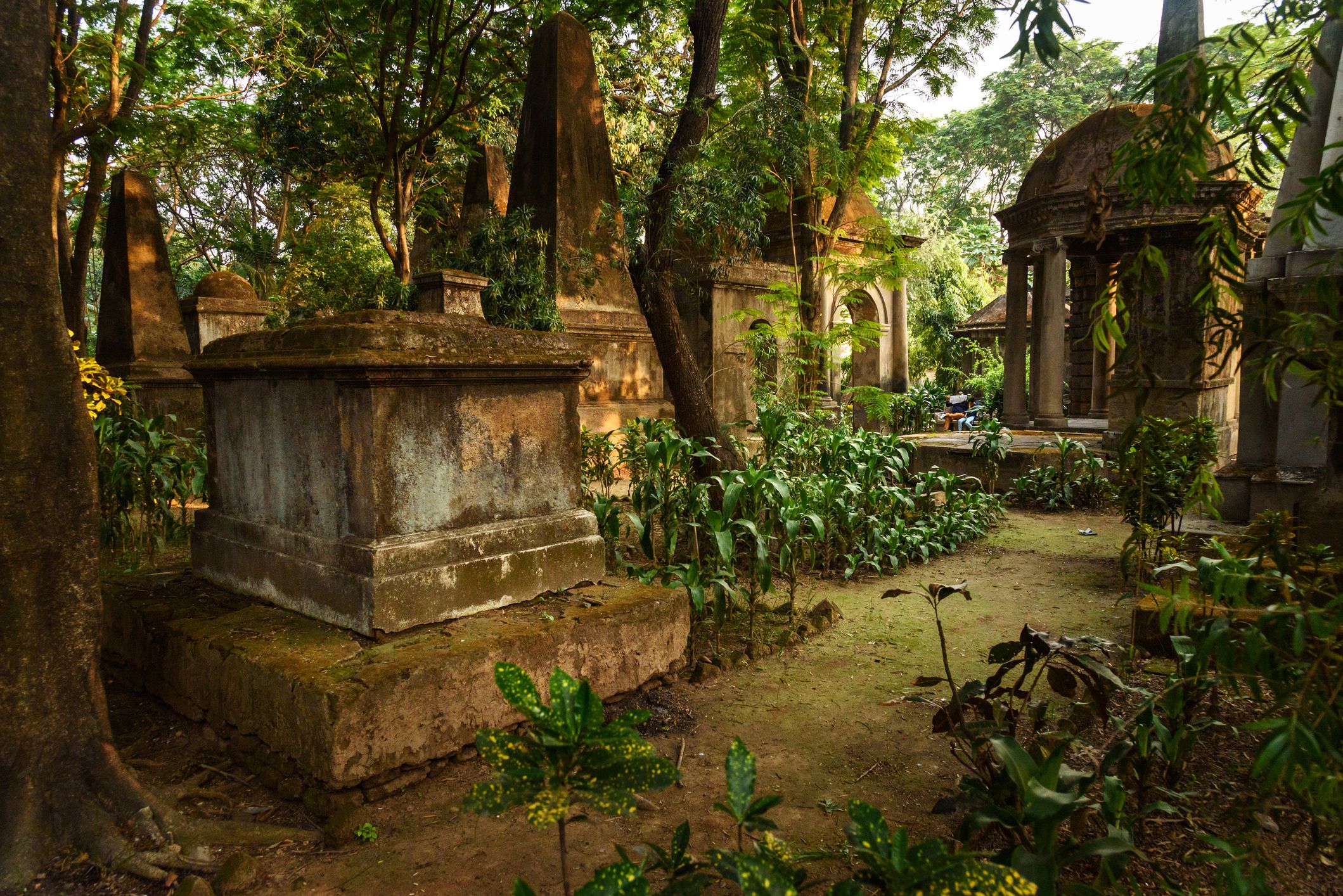 South Park Street Cemetery, Kolkata, India, several large tombs in shade, covered by tropical trees and plants