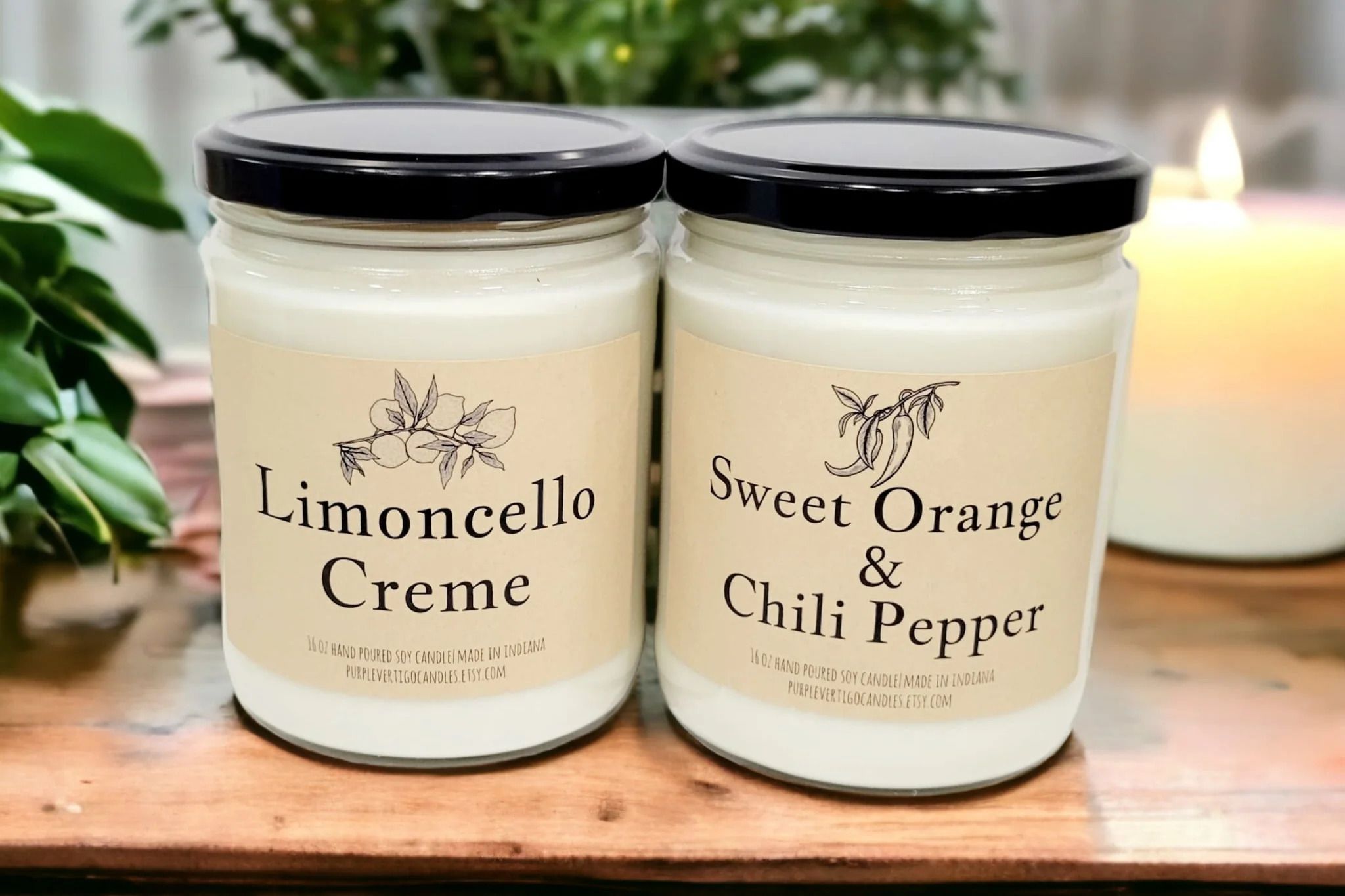 Vegan Soy Candle Subscription Two Large 16 oz candles