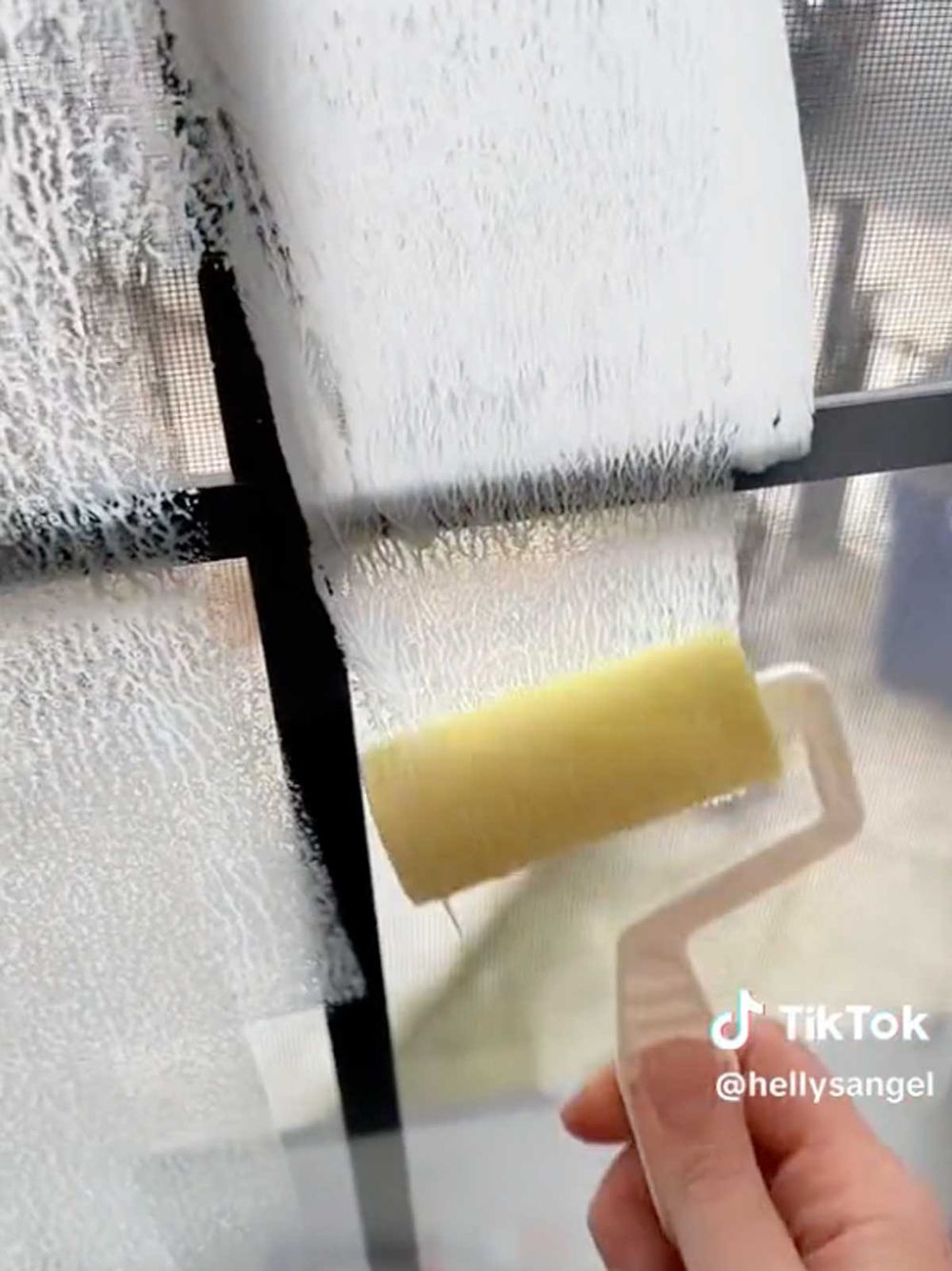 TikTok Elmer