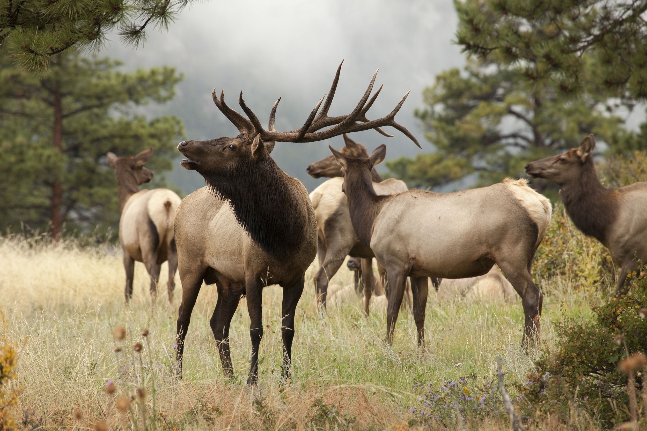 Rocky Mountain National Park, Colorado