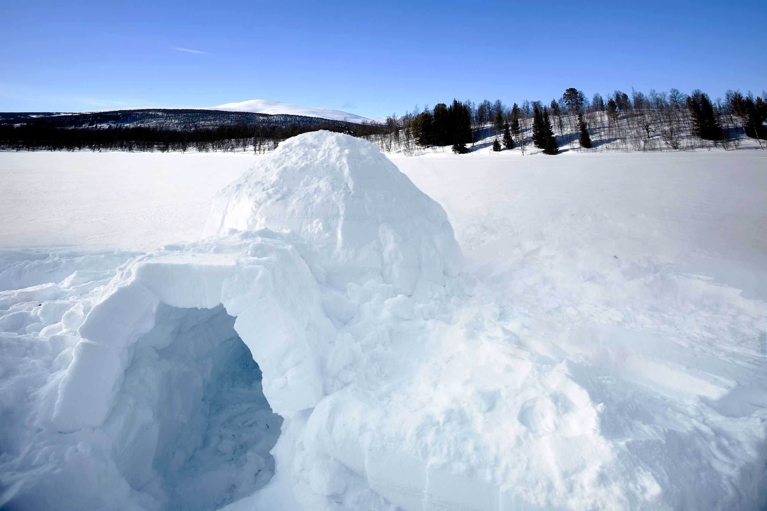 igloo made in the snow in front of some trees and mountains