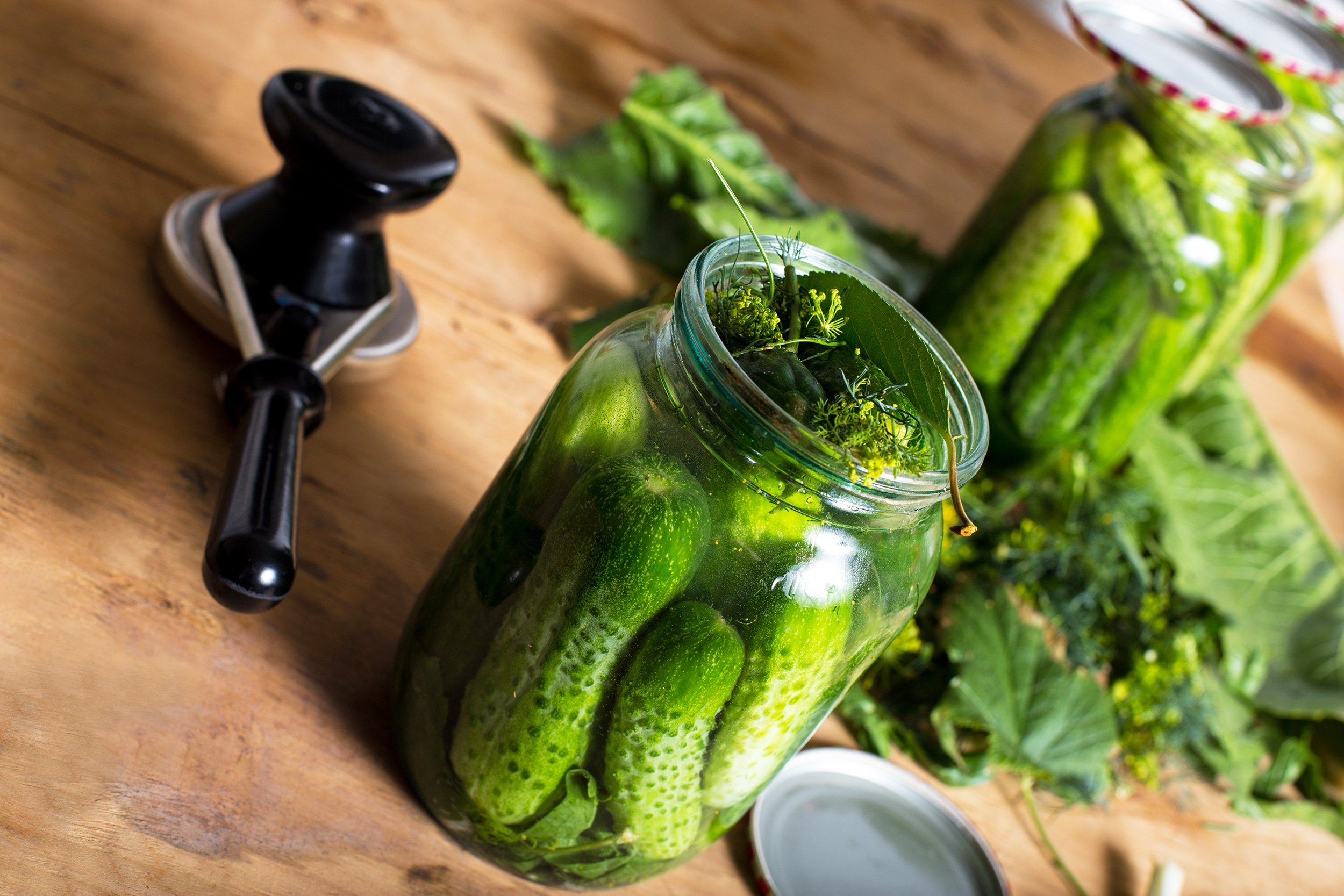 cans full of cucumbers with kitchen herbs prepared for canning