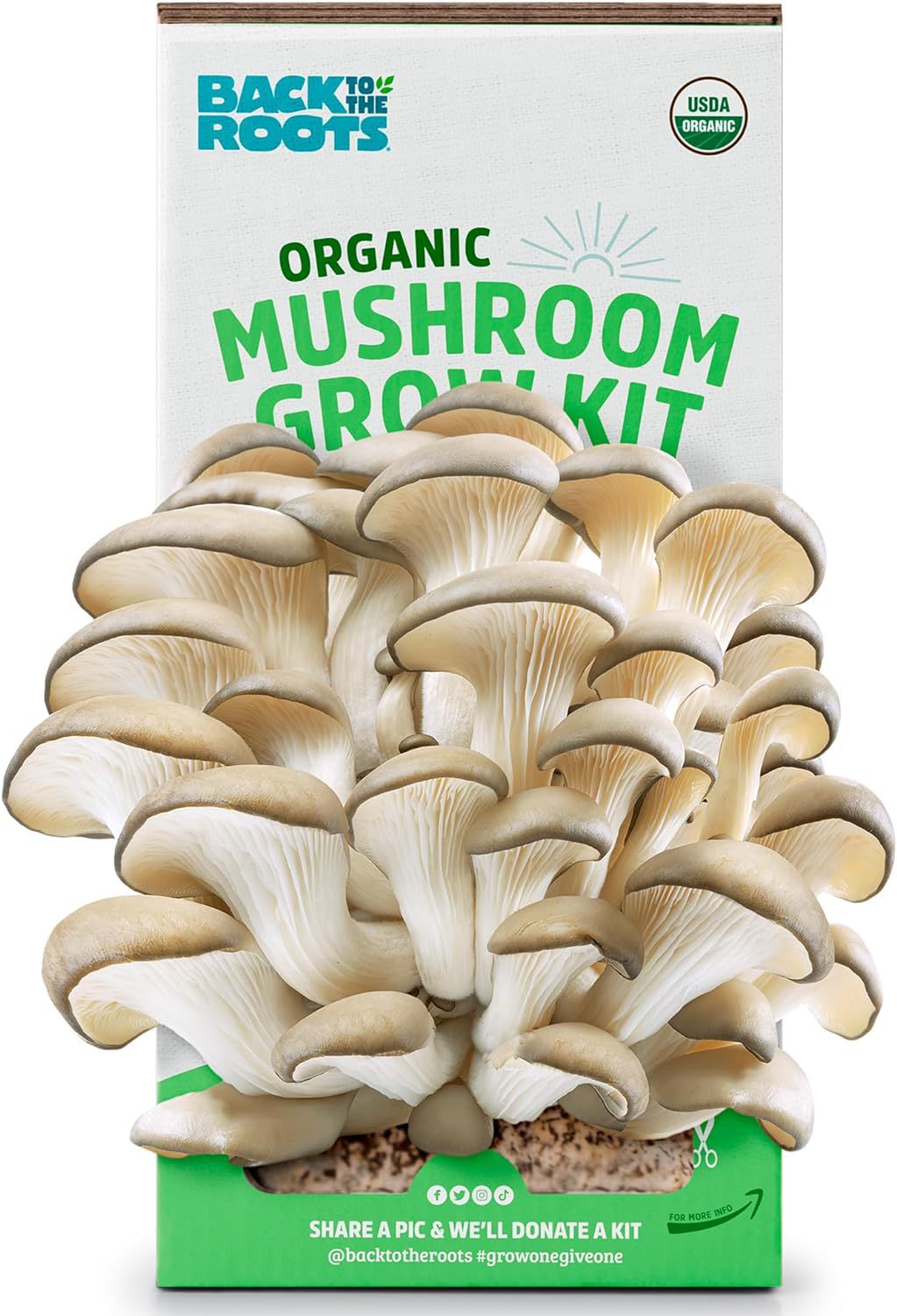Back to the Roots Organic Oyster Mushroom Grow Kit