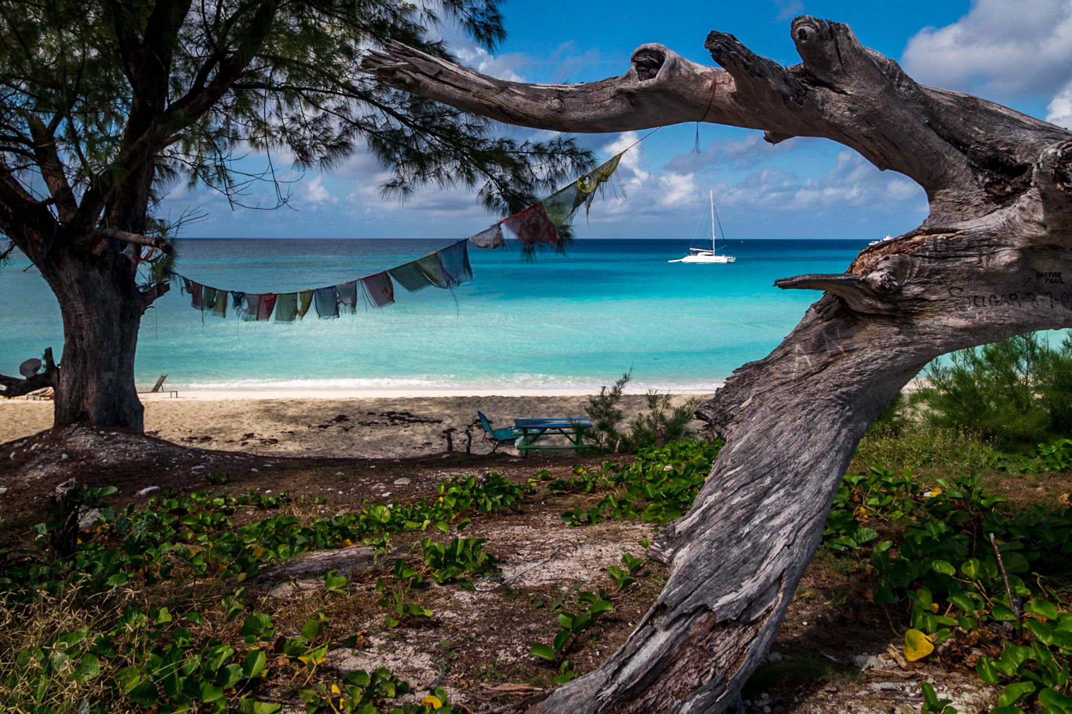 Beach of Bimini, Bahamas with a lone boat on the ocean, seen through trees with a rows of flags swaying in the wind on a sunny day