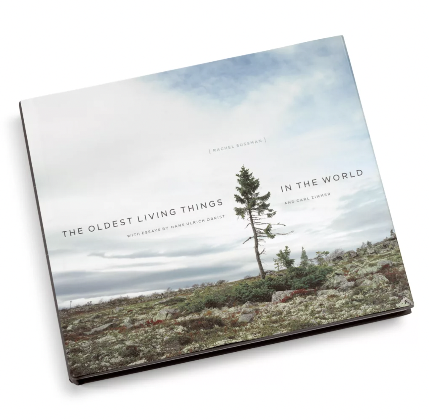 Oldest Living Things Book