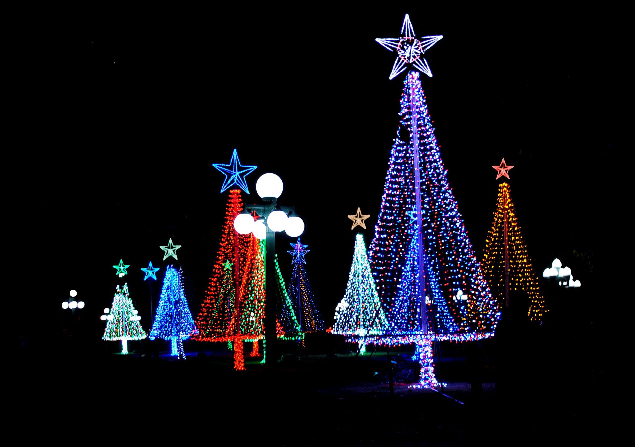 Holiday Christmas Tree Lights in the park