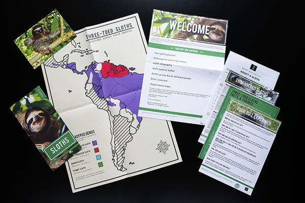 Sloth Adoption Kit