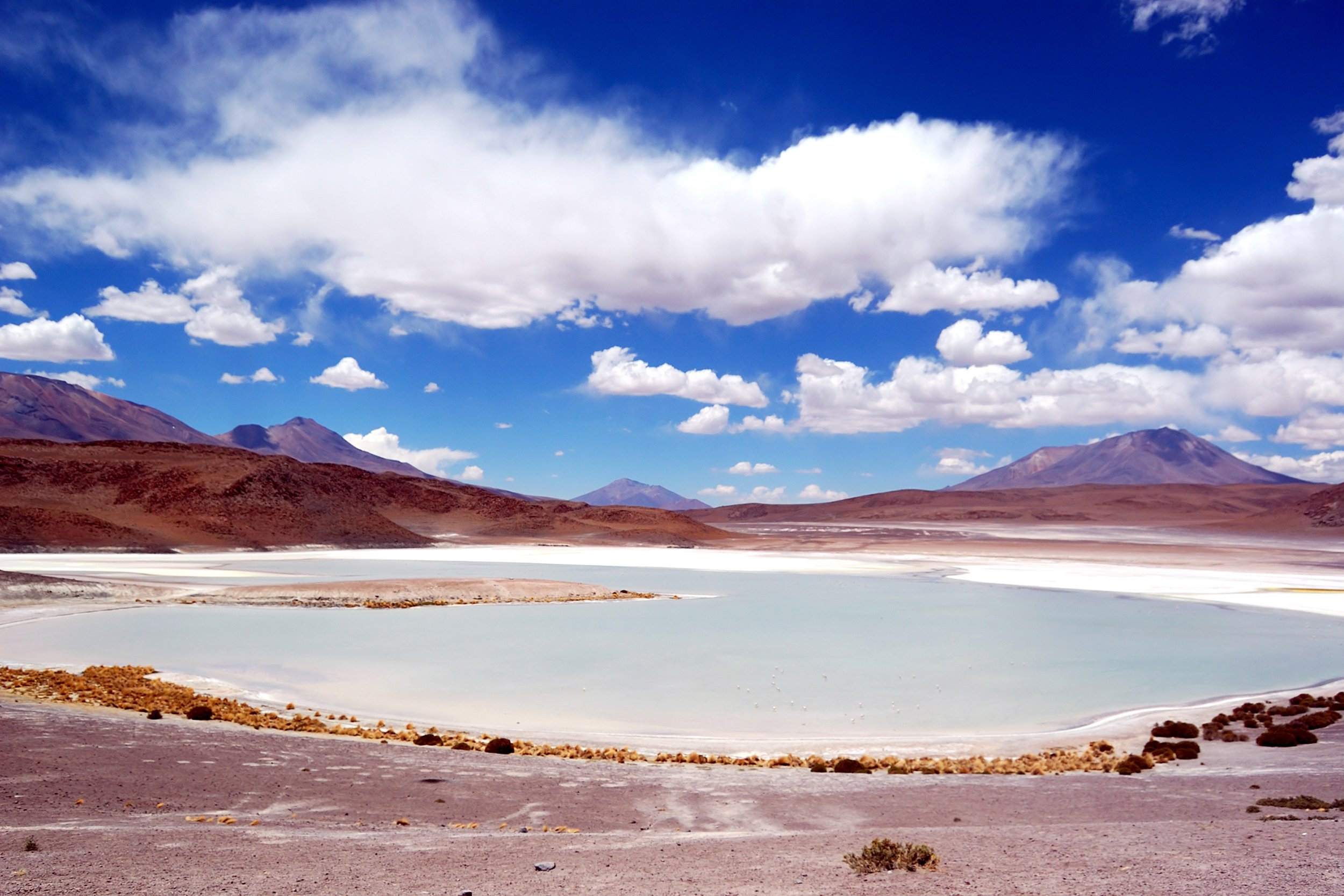 Laguna Colorada in Bolivia
